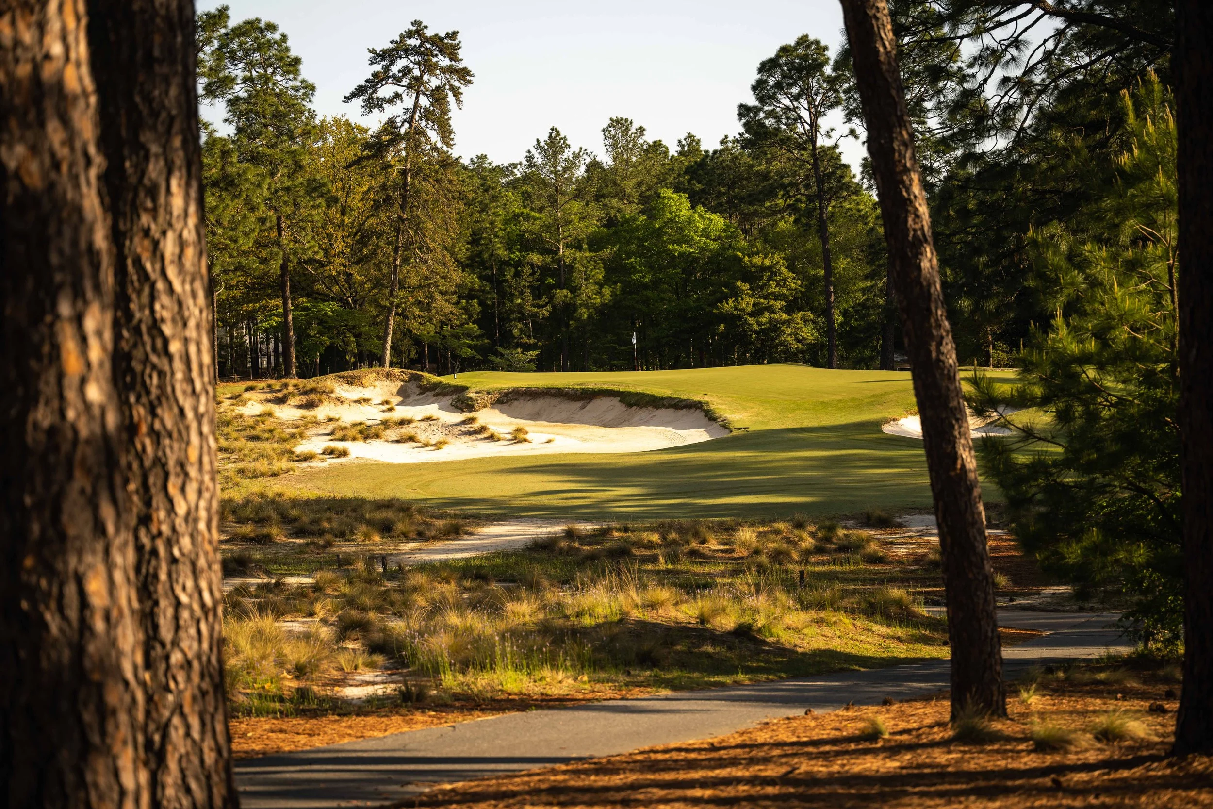 Pinehurst No 2-3727.jpg