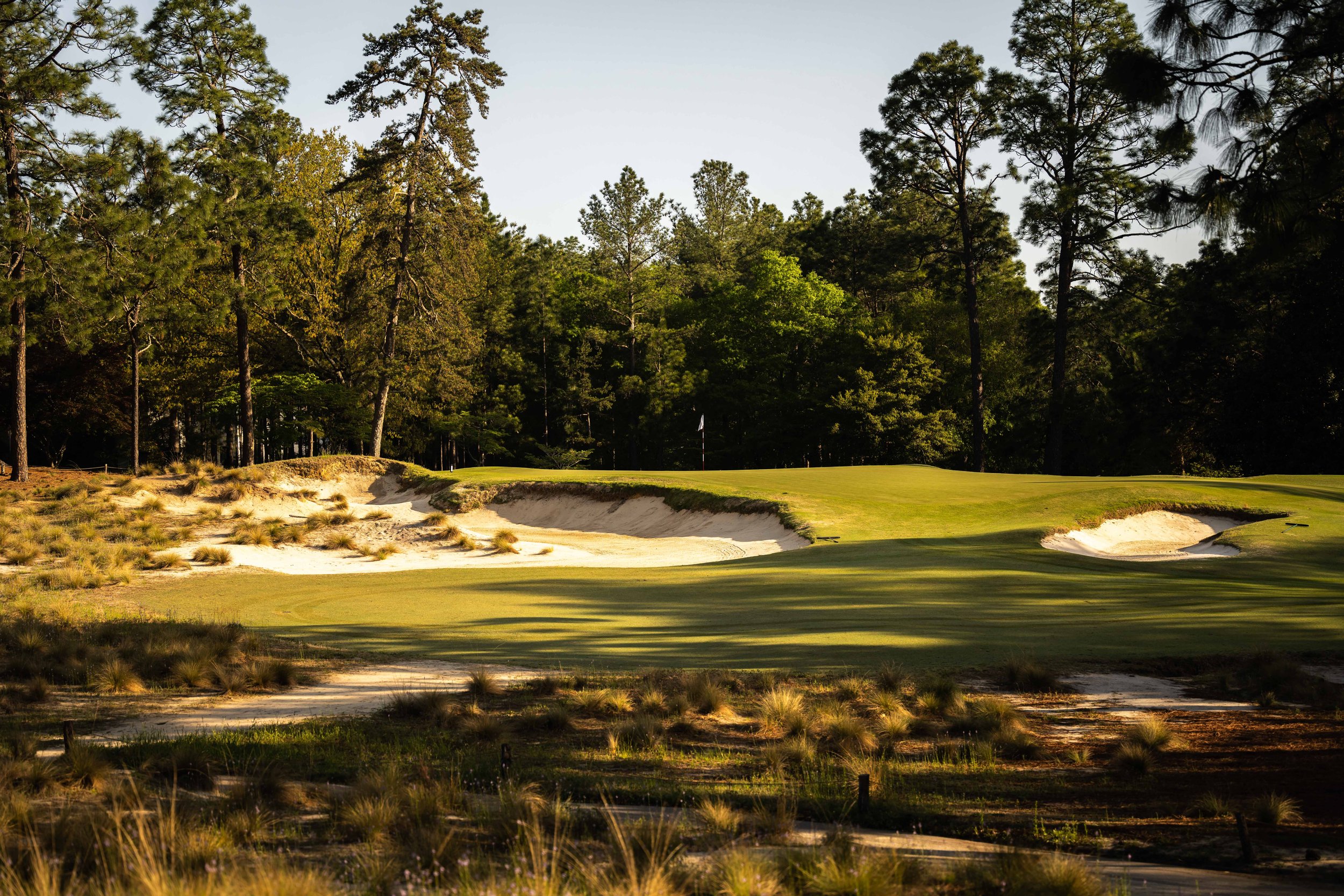 Pinehurst No 2-3733.jpg