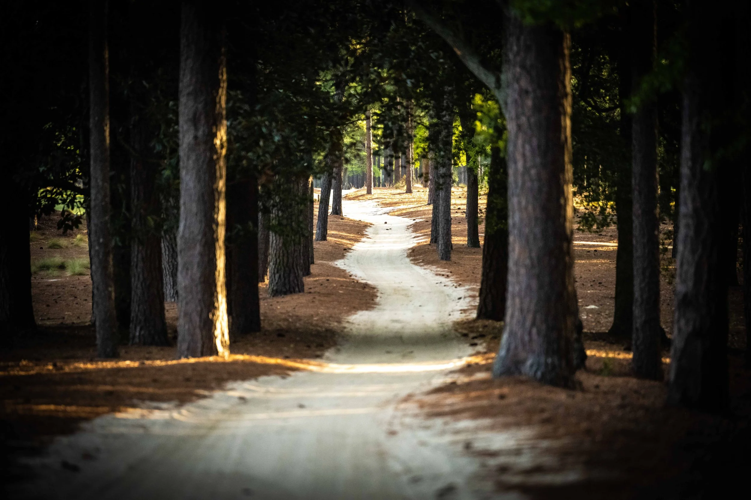 Pinehurst The Cradle - 4-2022-4801-2.jpg