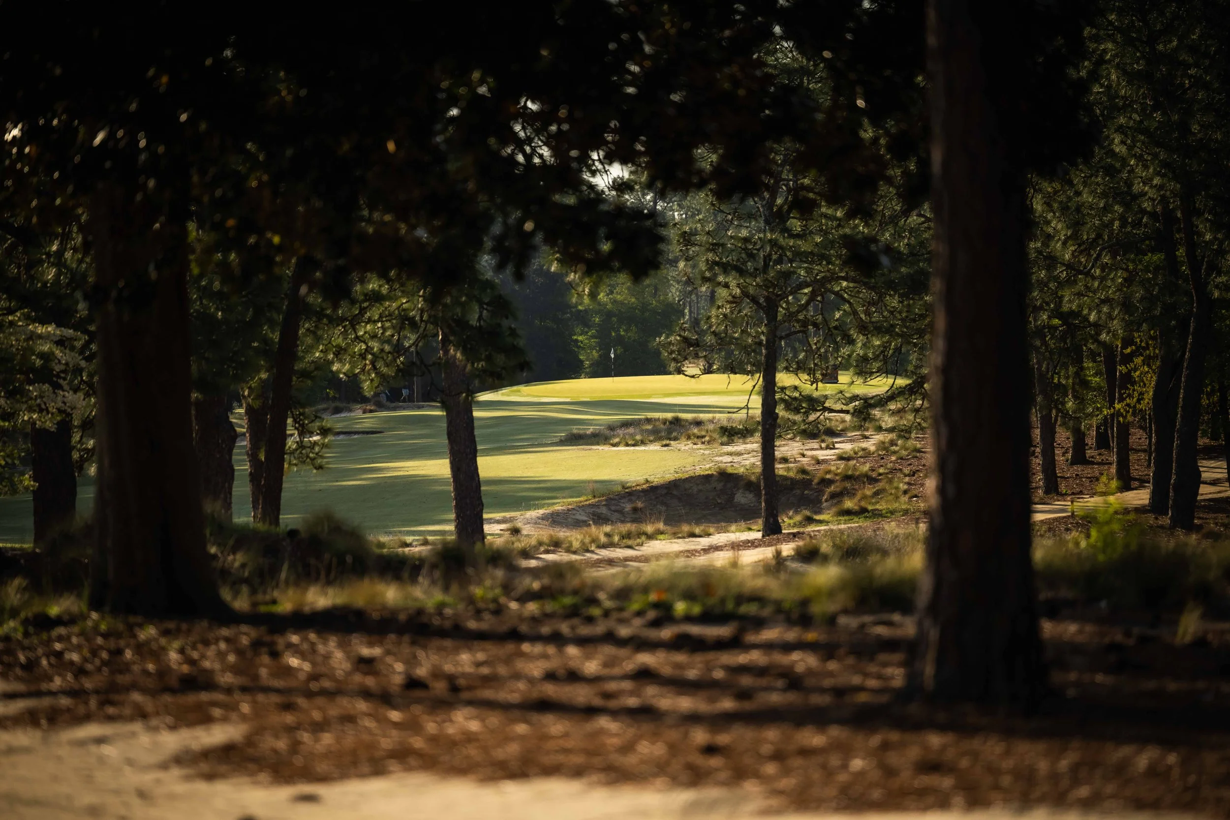 Pinehurst The Cradle - 4-2022-4811.jpg