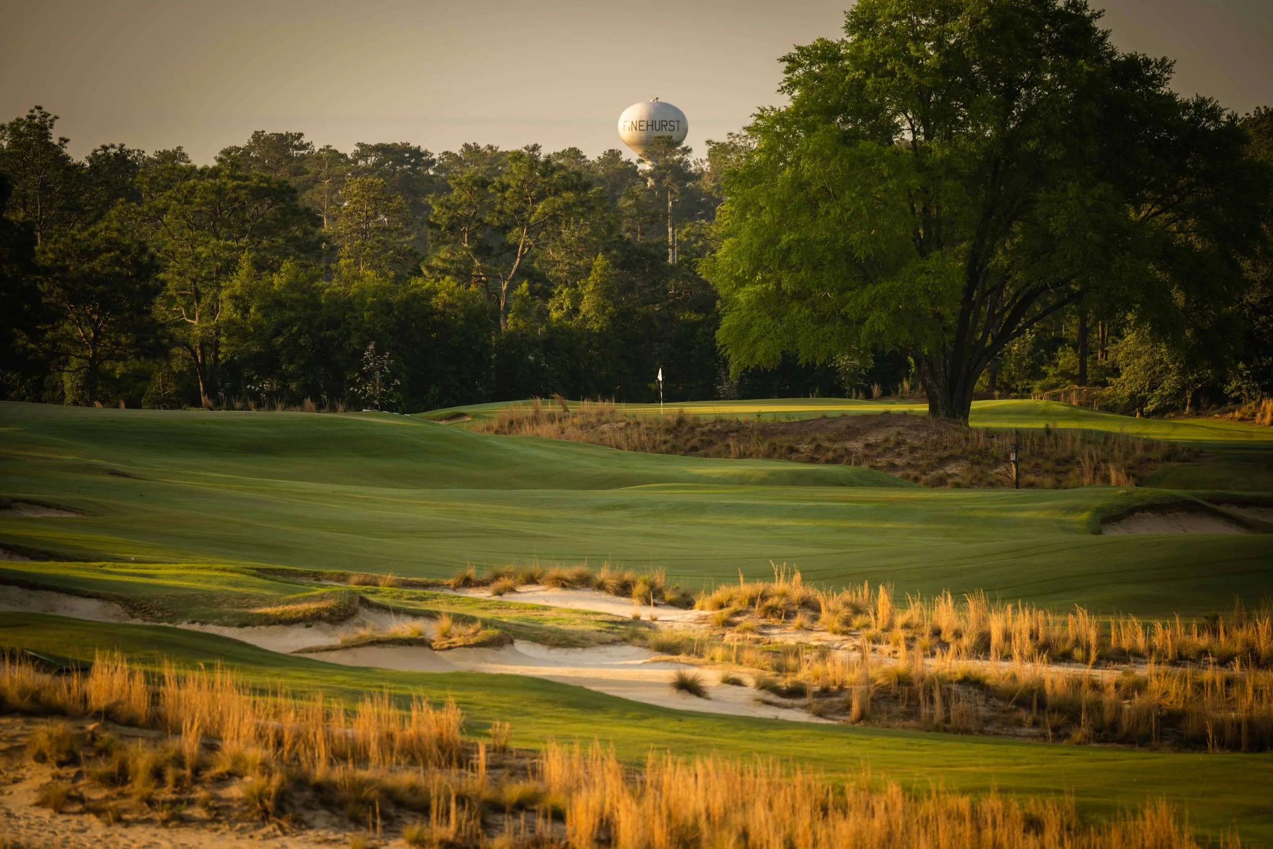 Pinehurst No 2 - 4-2022-4285.jpg