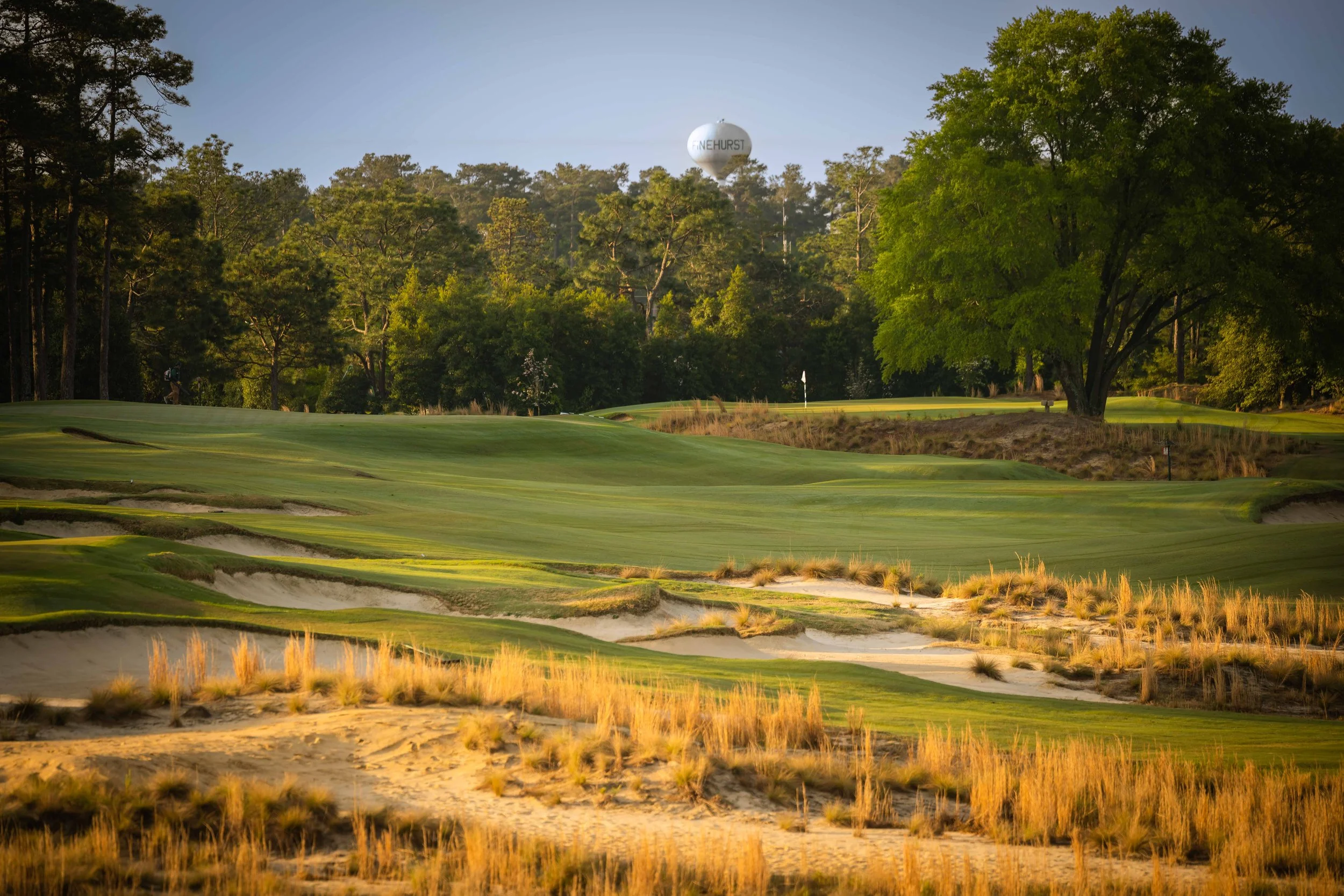 Pinehurst No 2 - 4-2022-4288.jpg