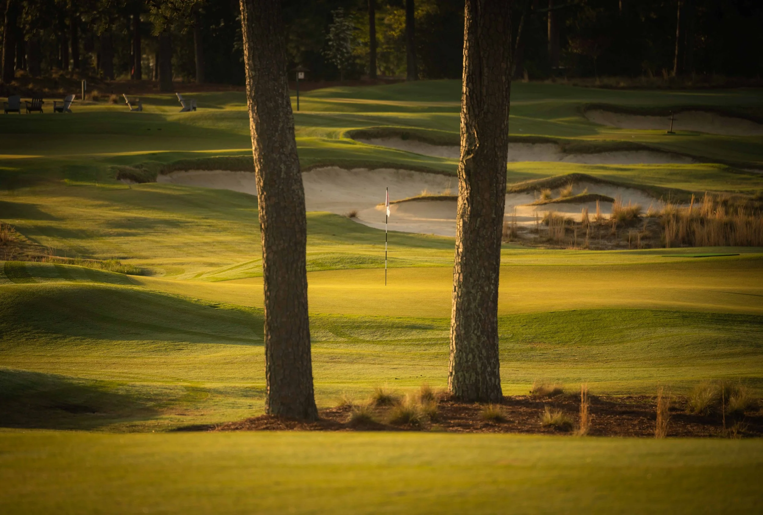 Pinehurst No 2 - 4-2022-4297.jpg