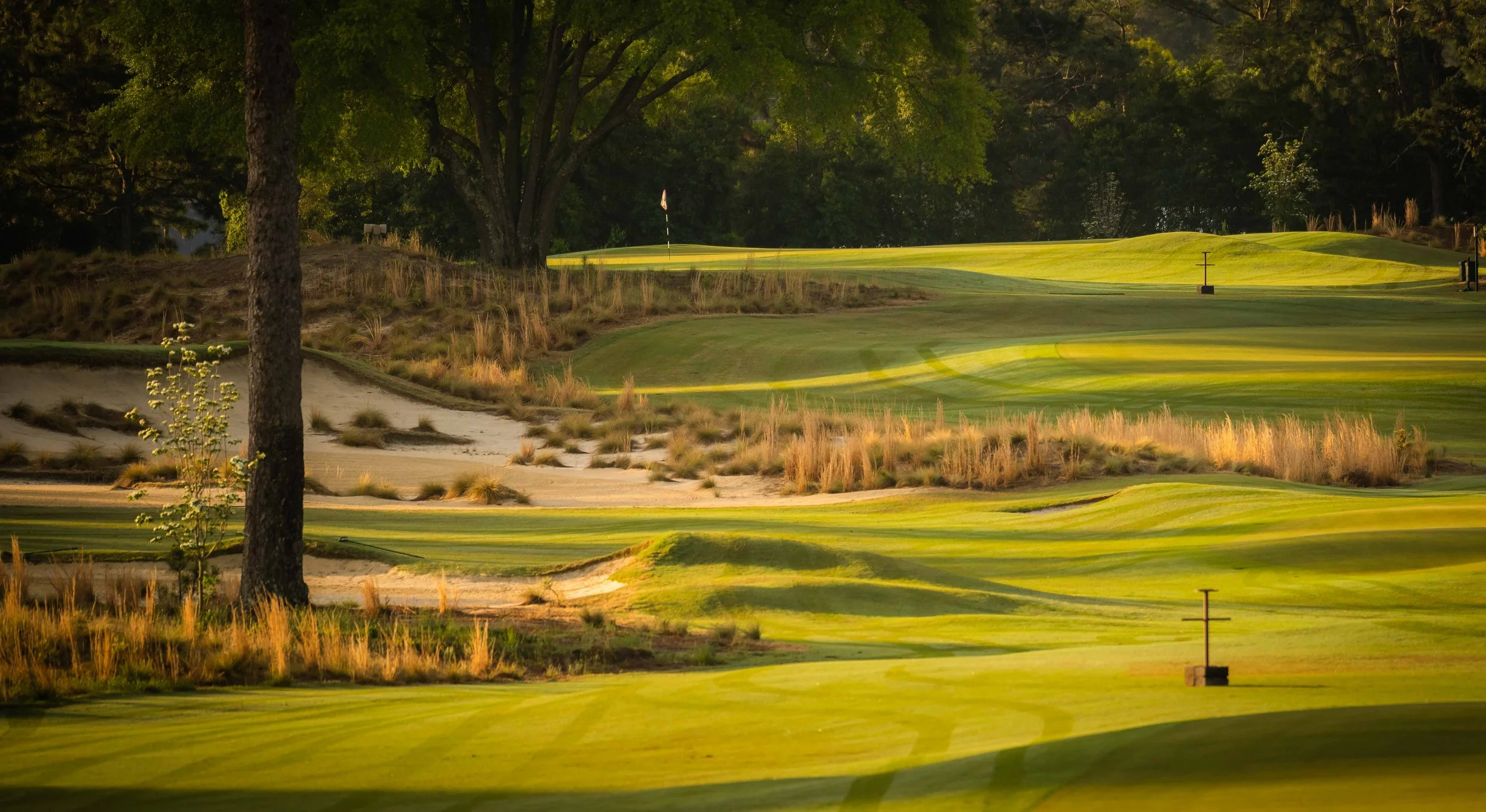 Pinehurst No 2 - 4-2022-4303.jpg