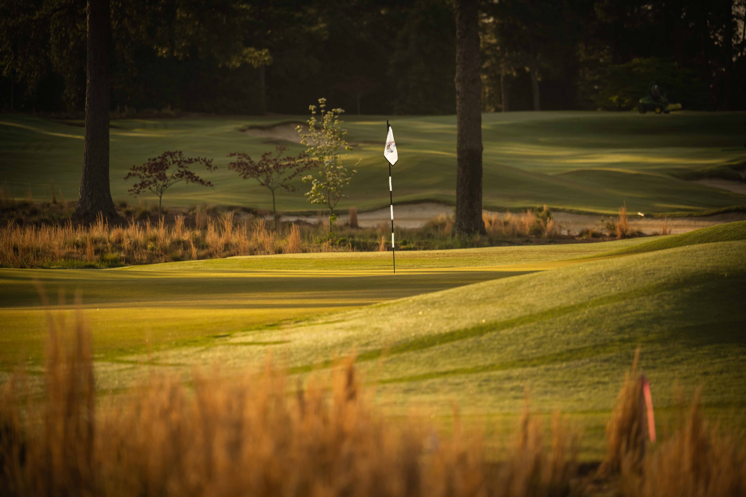 Pinehurst No 2 - 4-2022-4314.jpg