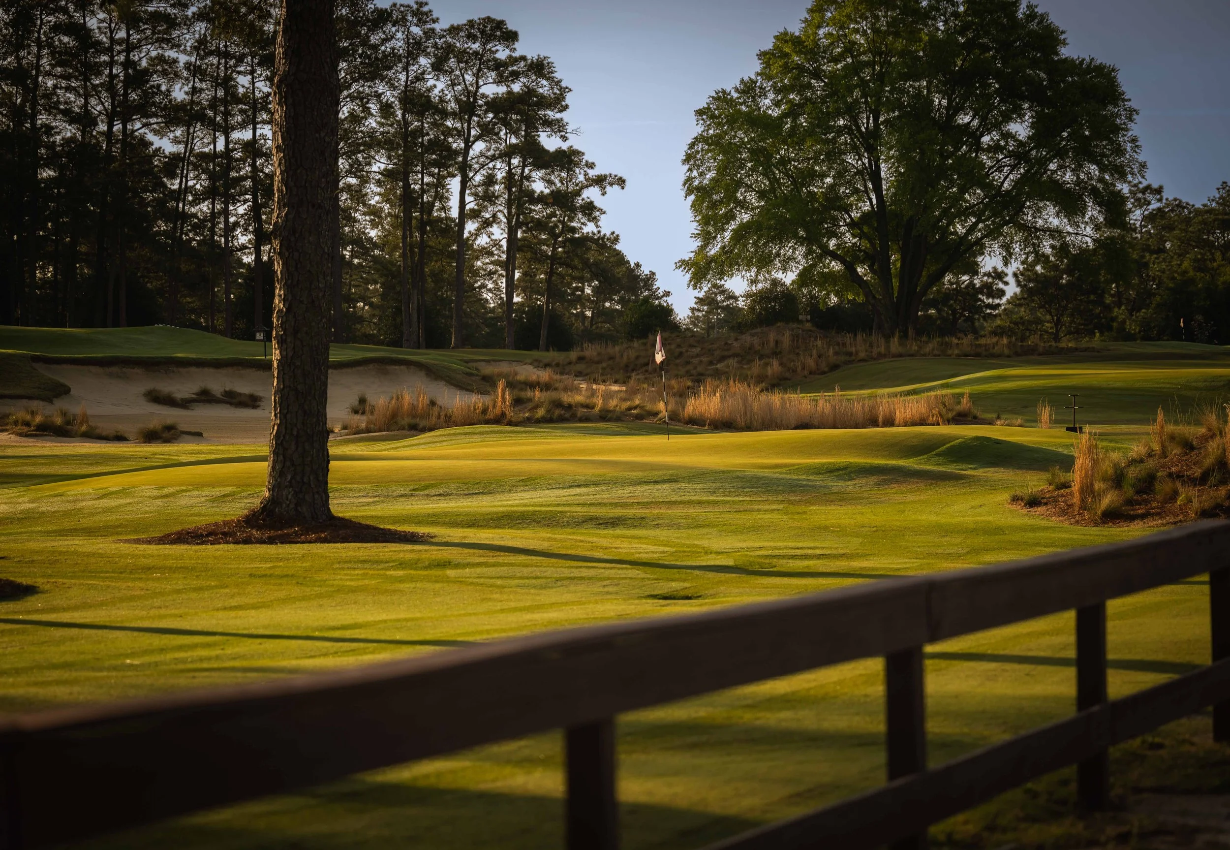 Pinehurst No 2 - 4-2022-4322.jpg