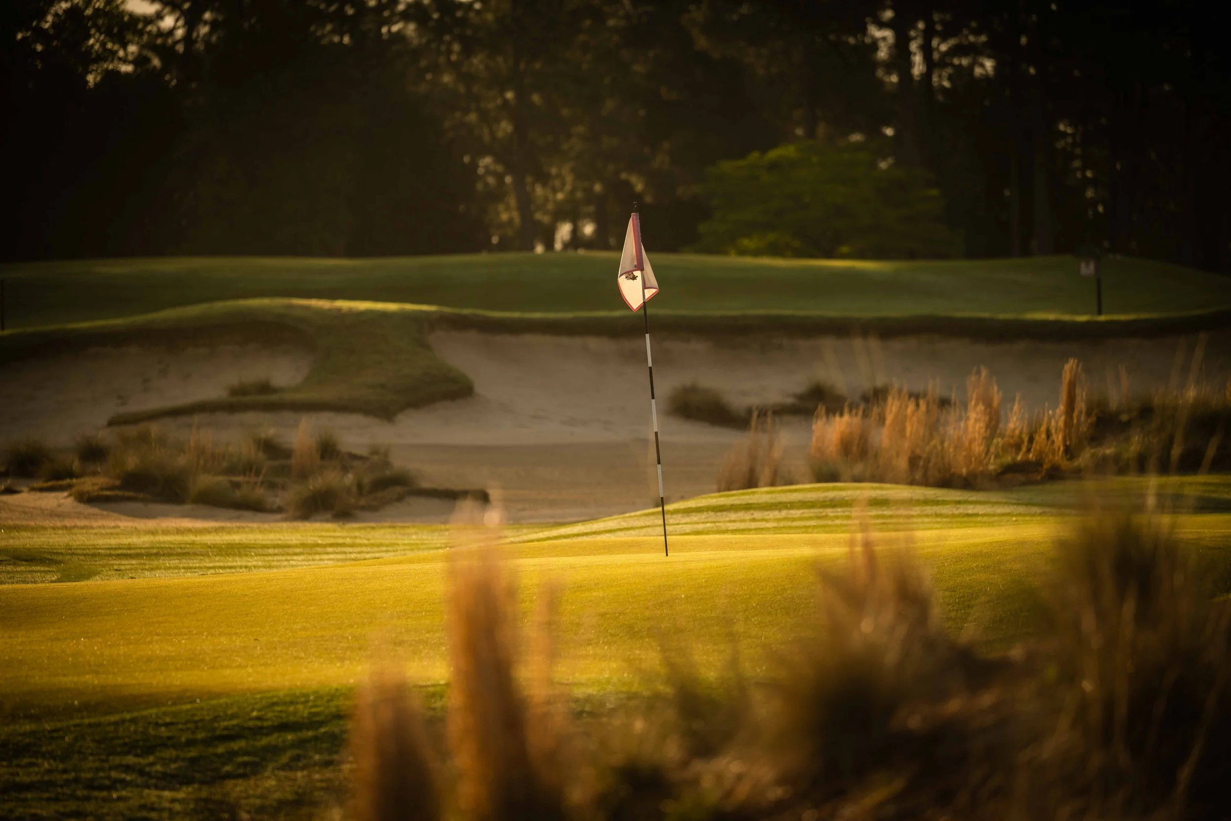 Pinehurst No 2 - 4-2022-4326.jpg