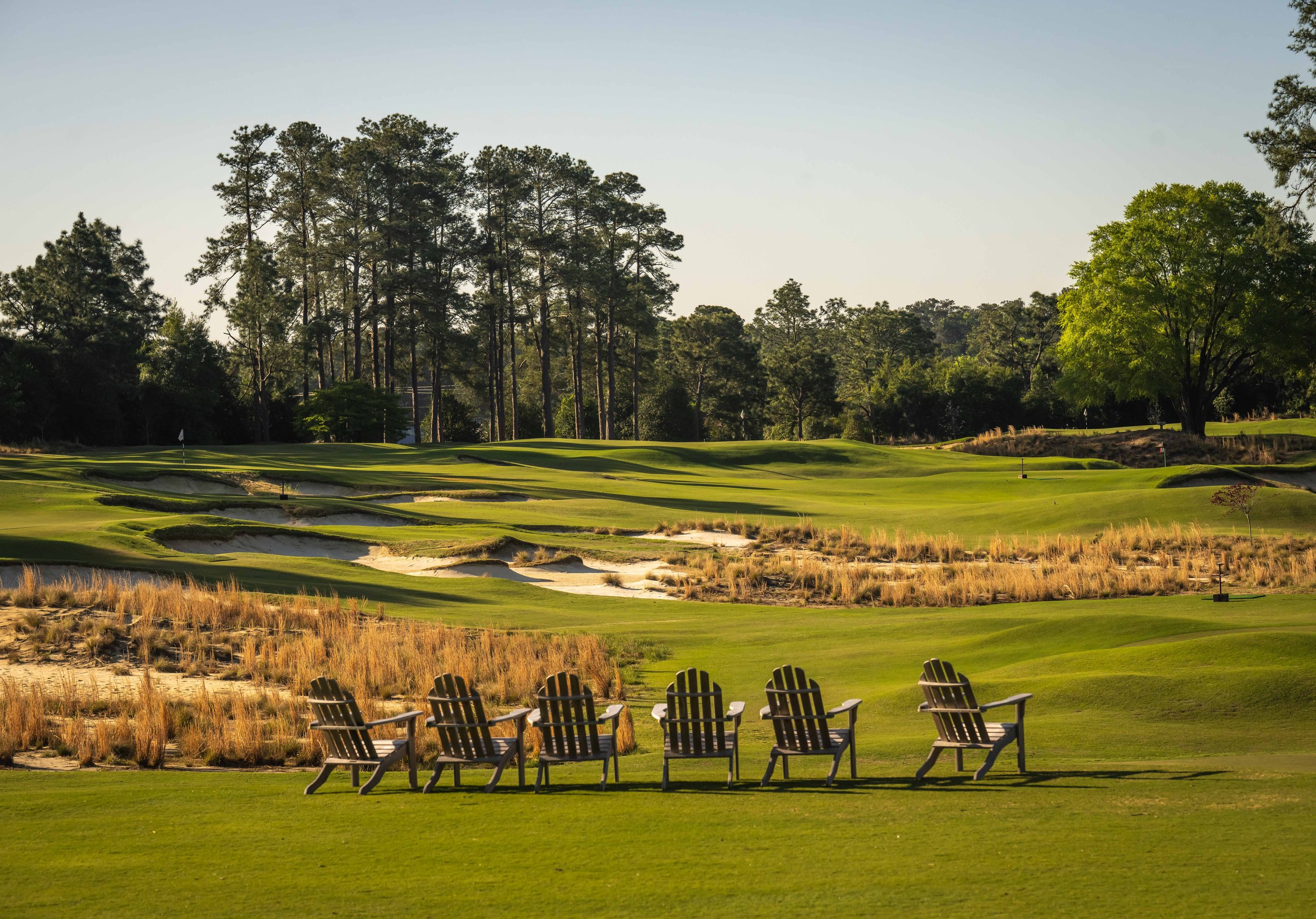 PInehurst No 2-3342.jpg