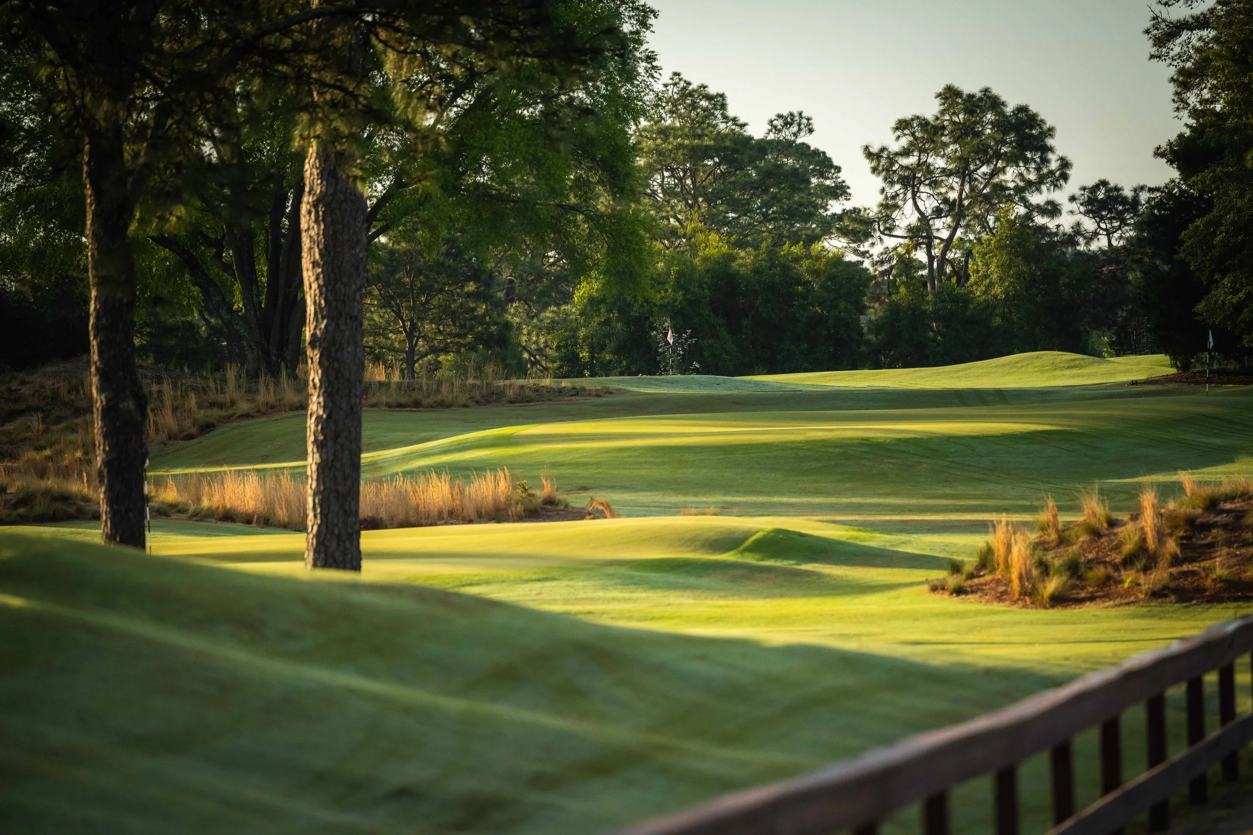 Pinehurst The Cradle - 4-2022-4770.jpg