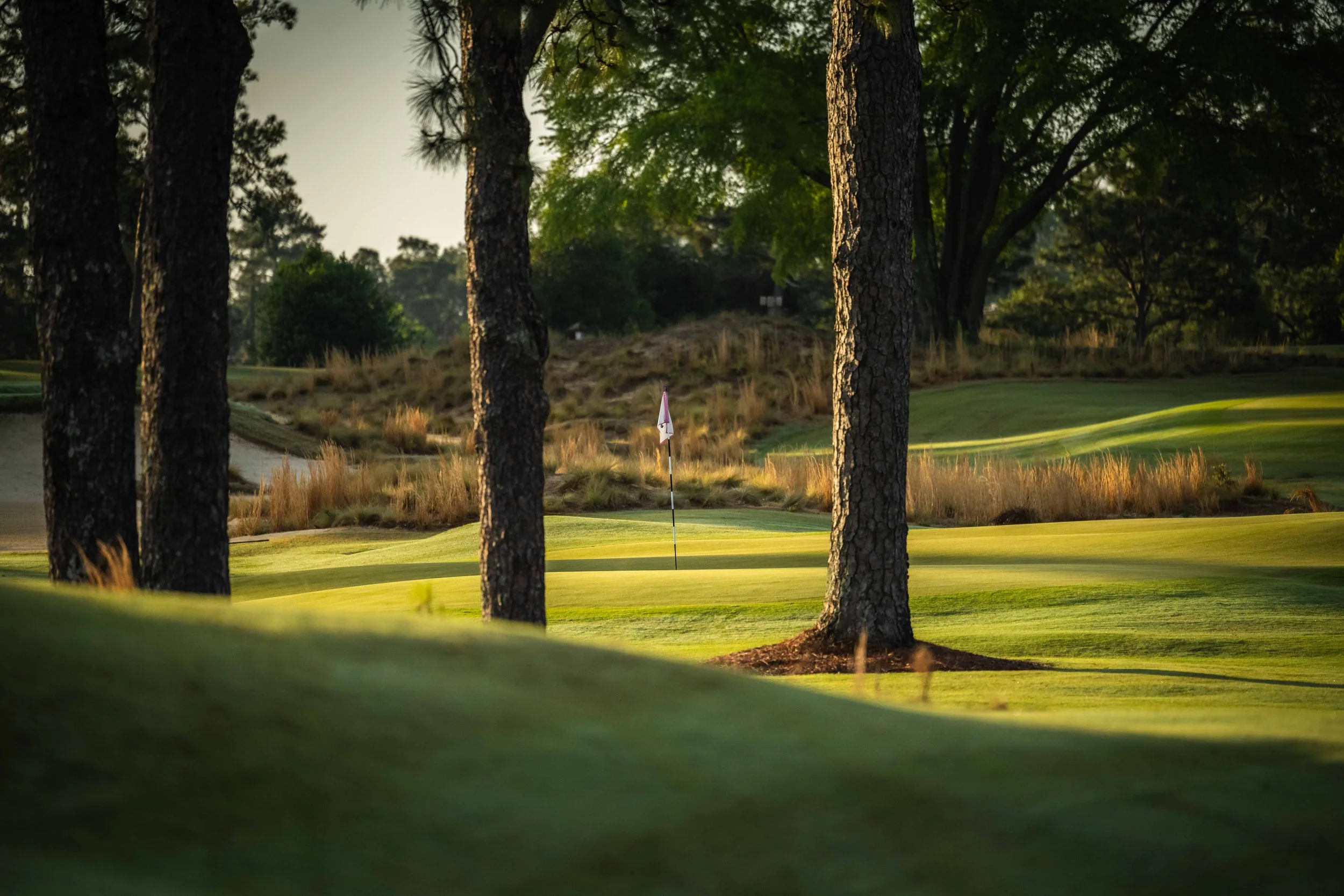 Pinehurst The Cradle - 4-2022-4771.jpg