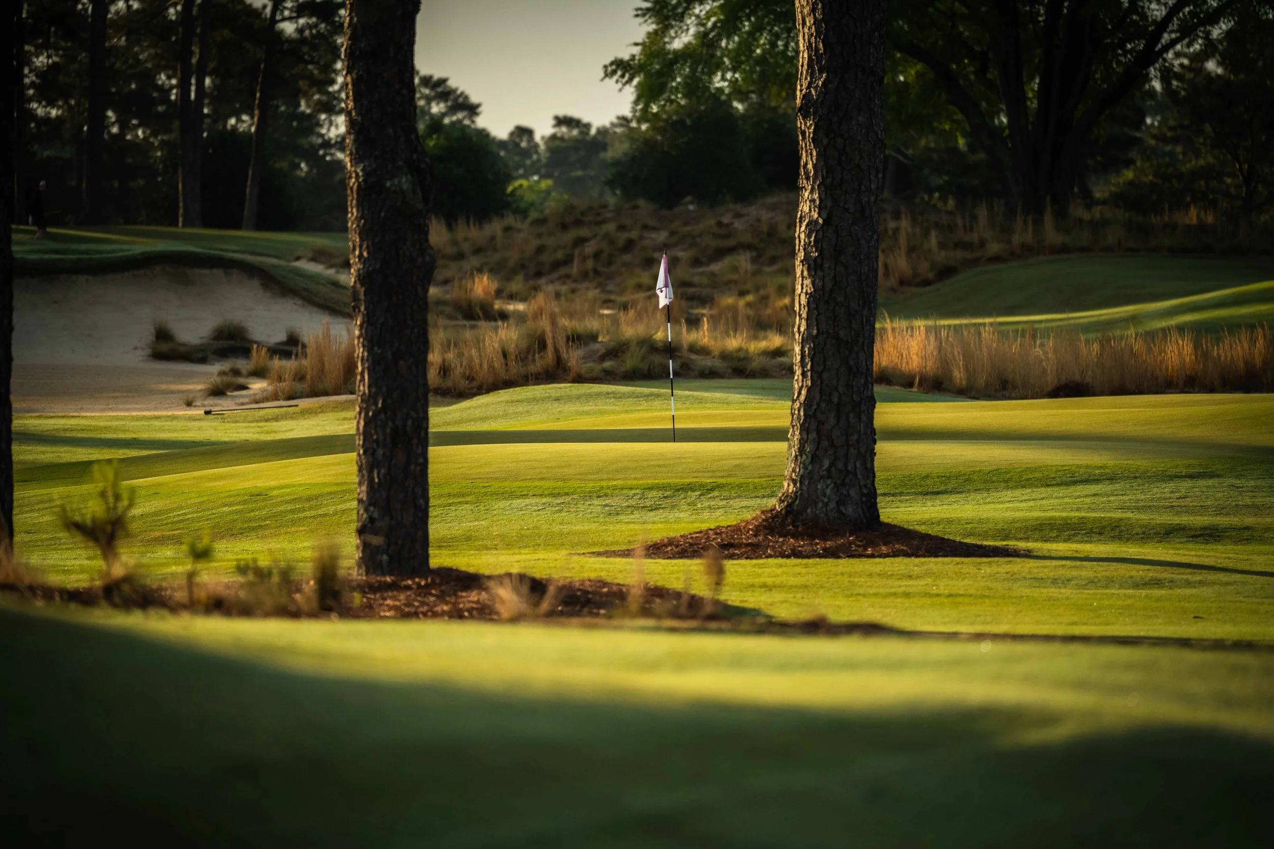 Pinehurst The Cradle - 4-2022-4773.jpg
