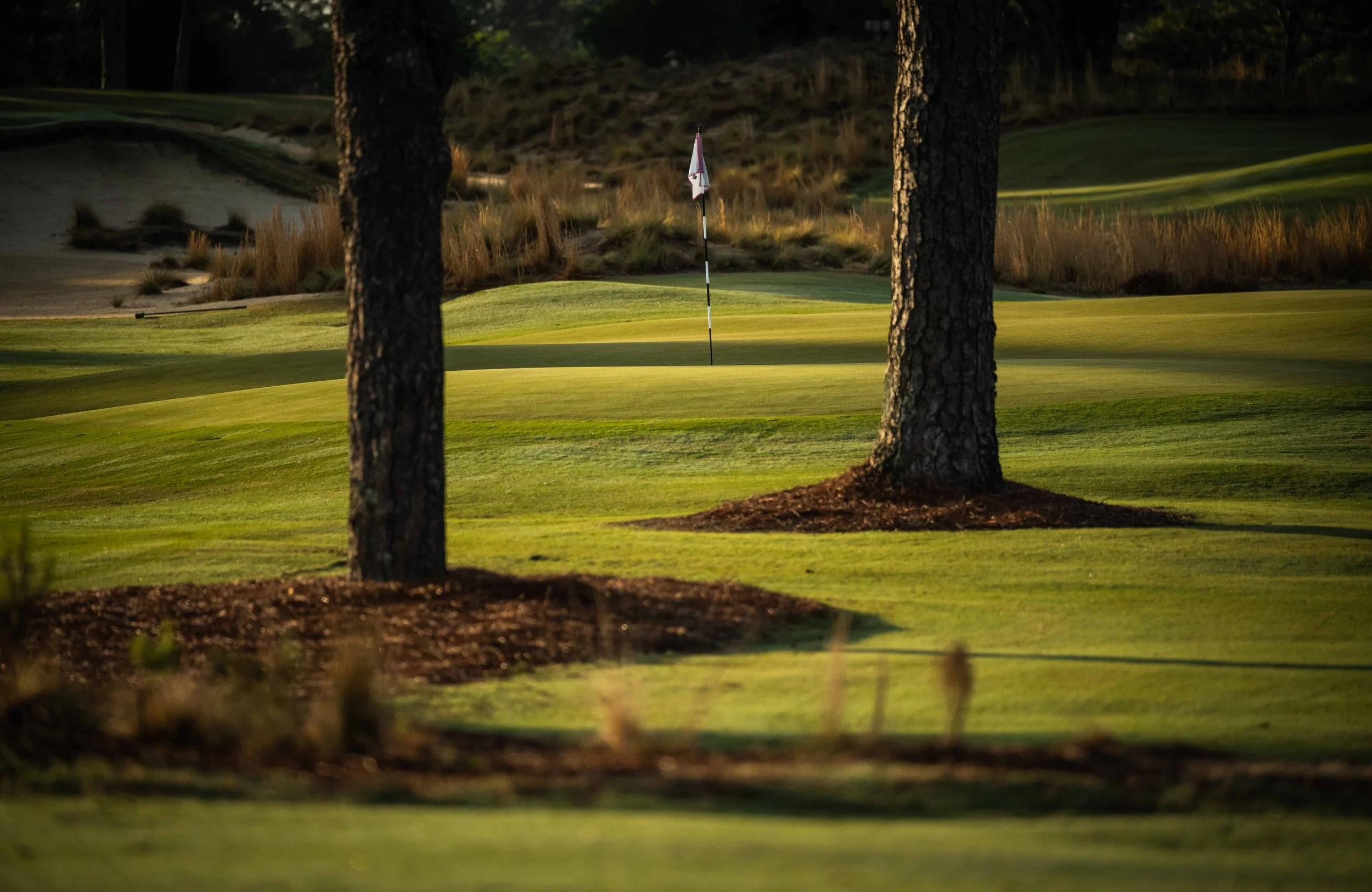 Pinehurst The Cradle - 4-2022-4775.jpg