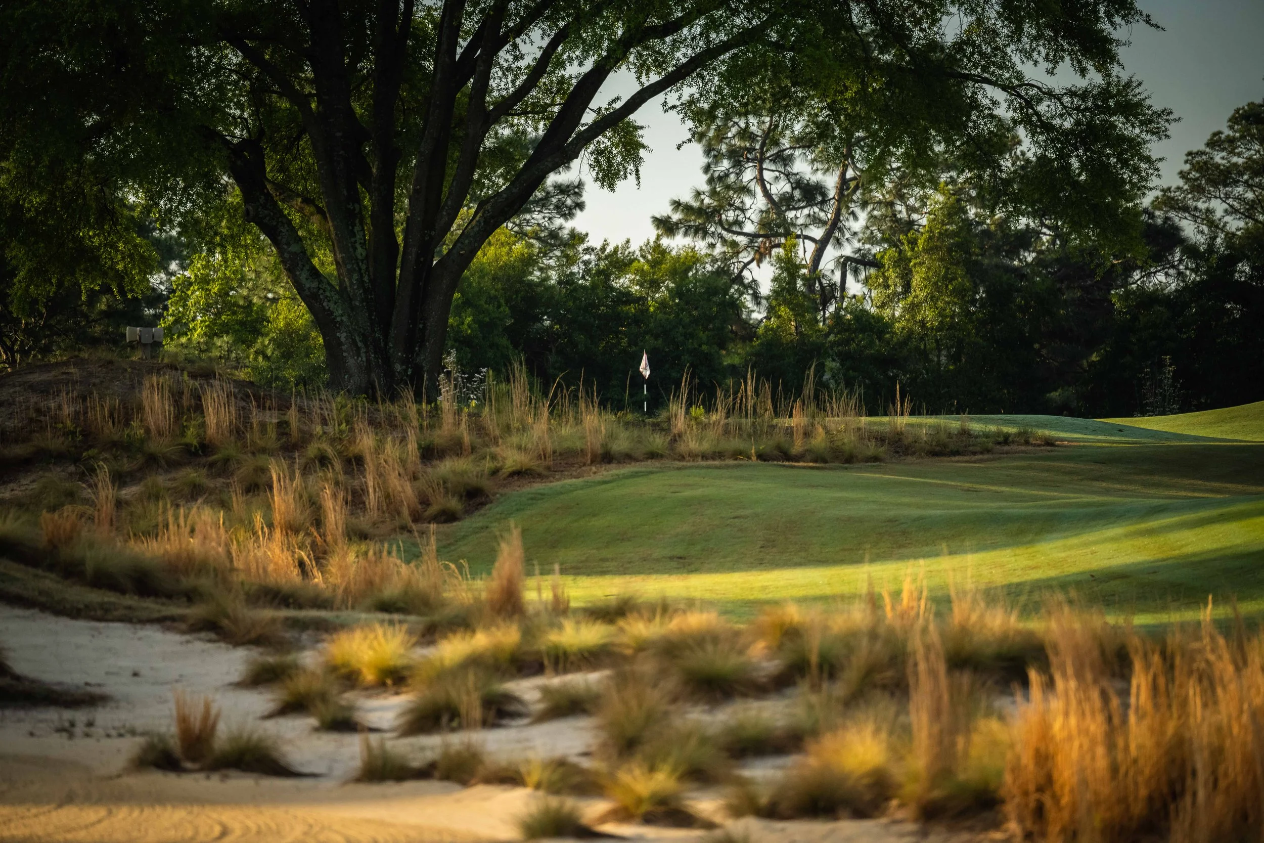 Pinehurst The Cradle - 4-2022-4794.jpg