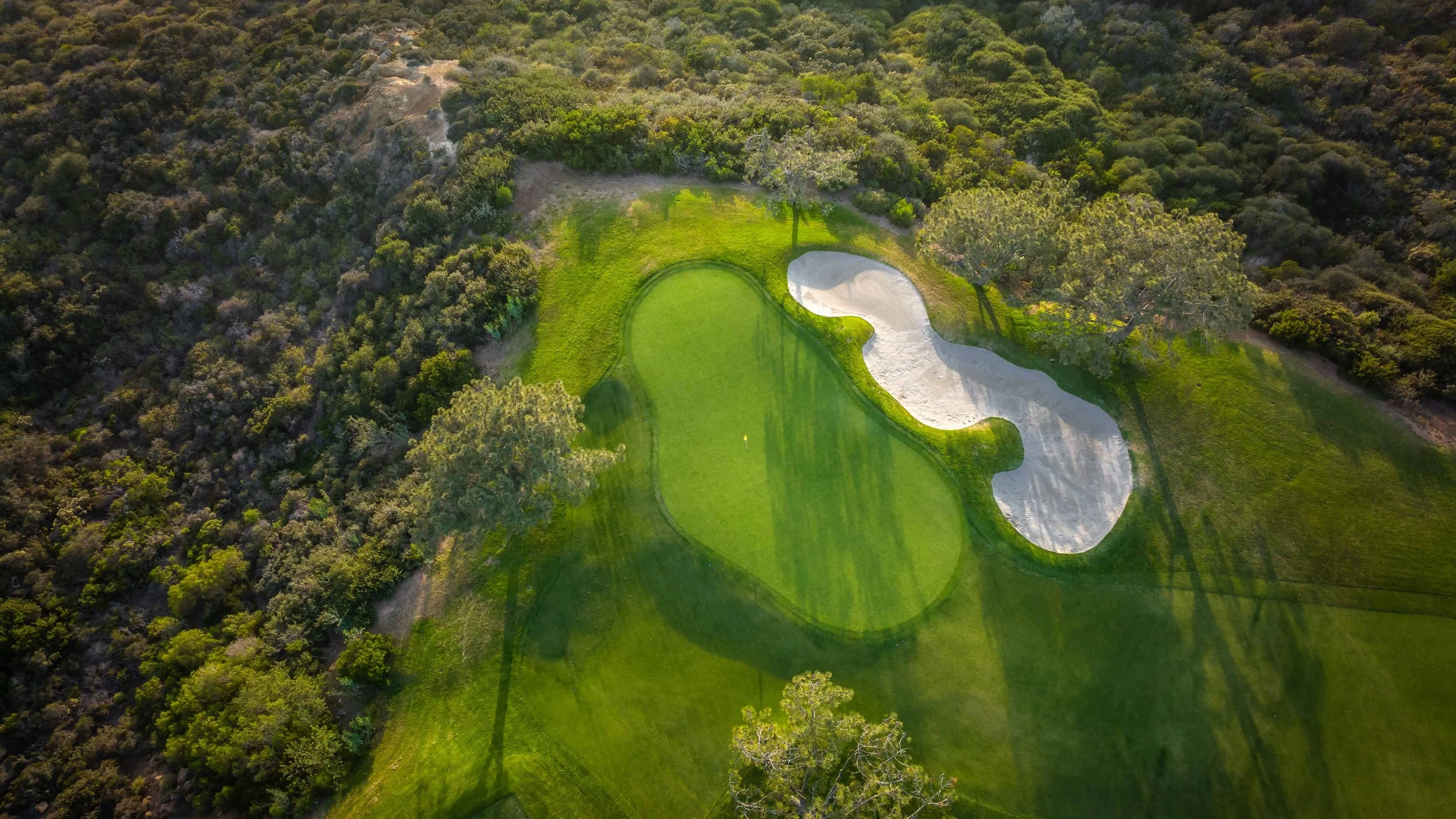 Torrey Pines - 4-2022-0321.jpg