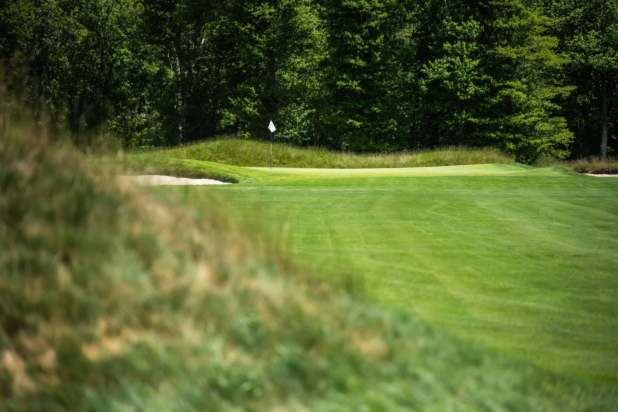 Kittanset CLub-9782.jpg