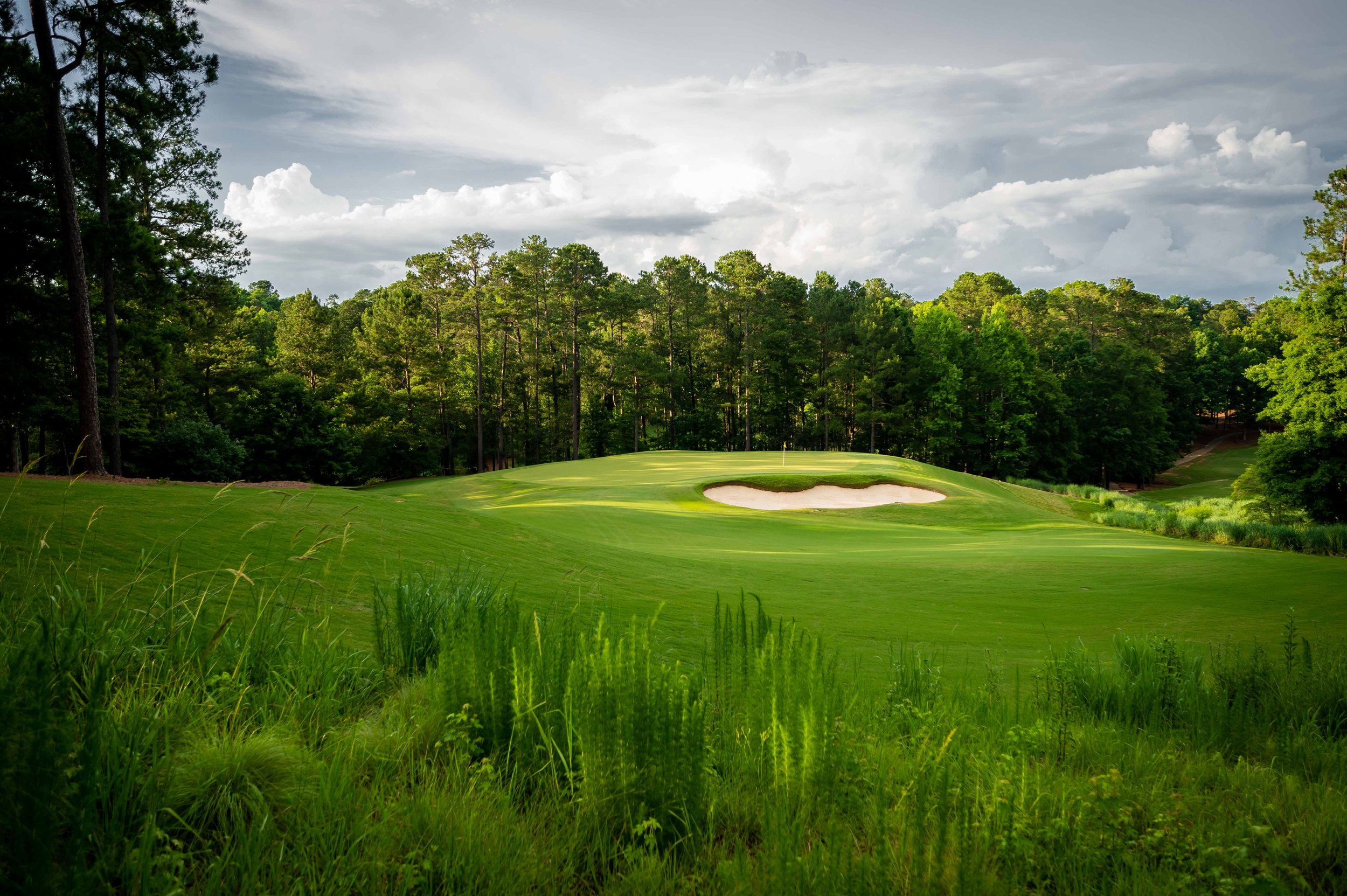 Reynold's Oconee - National-3370-2.jpg