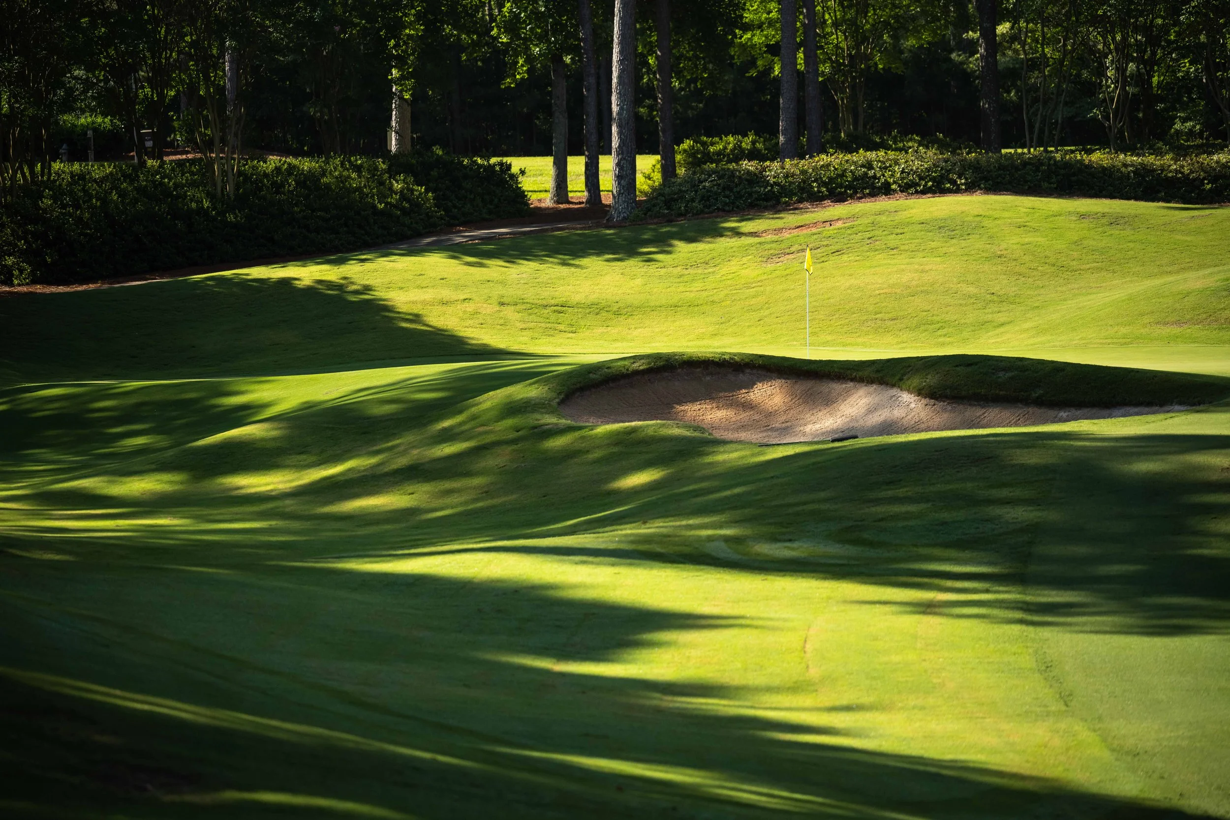 Reynold's Oconee - Preserve-8491.jpg