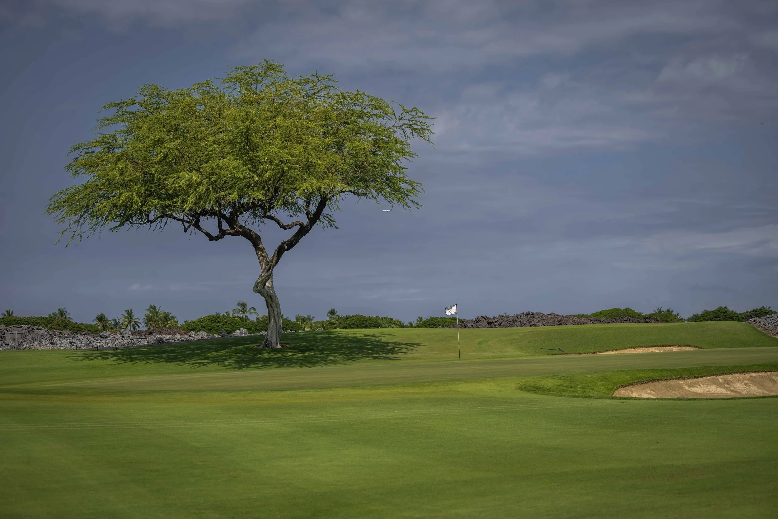 Hualalai Golf Club-2556.jpg