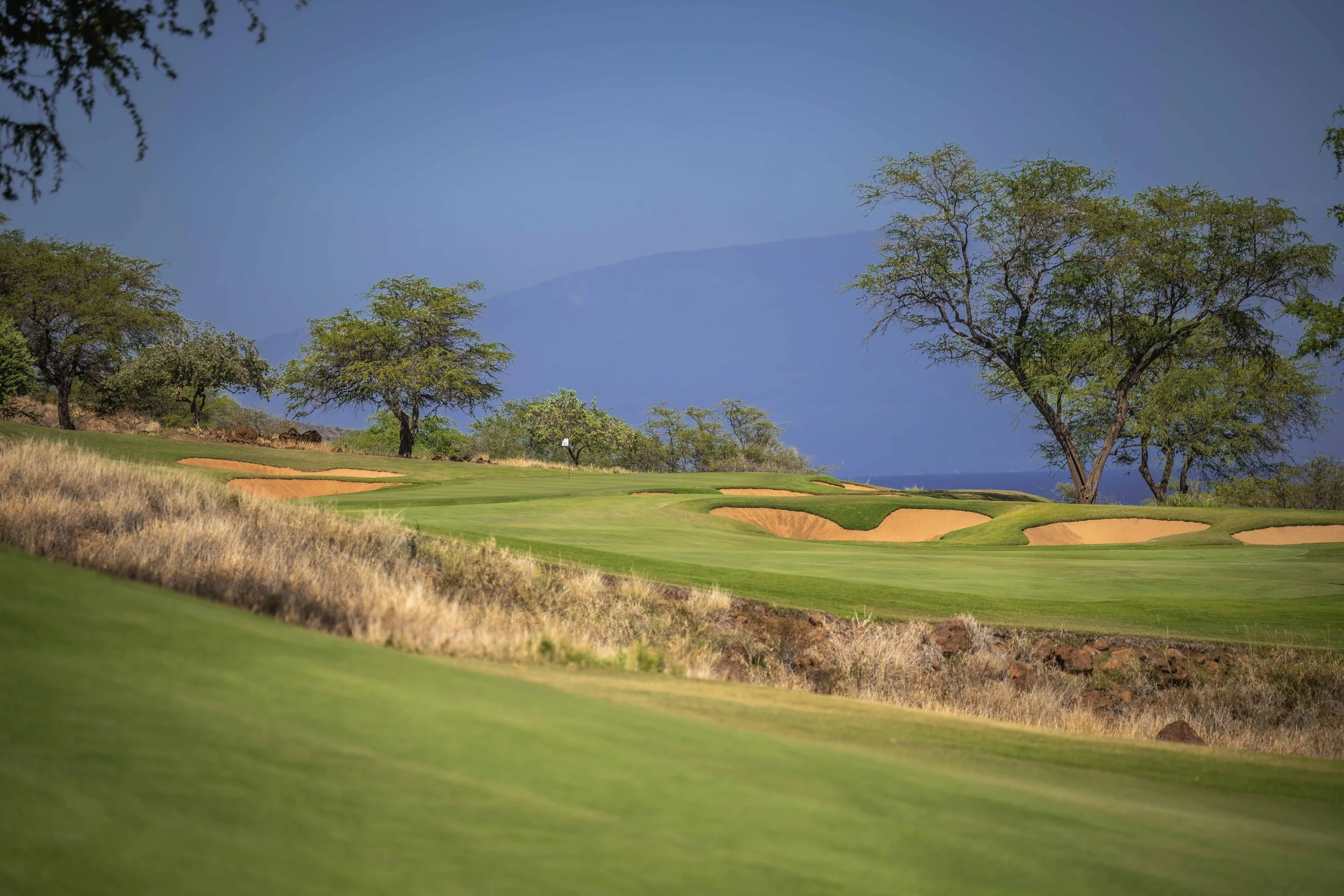 Manele Golf Course-3634.jpg