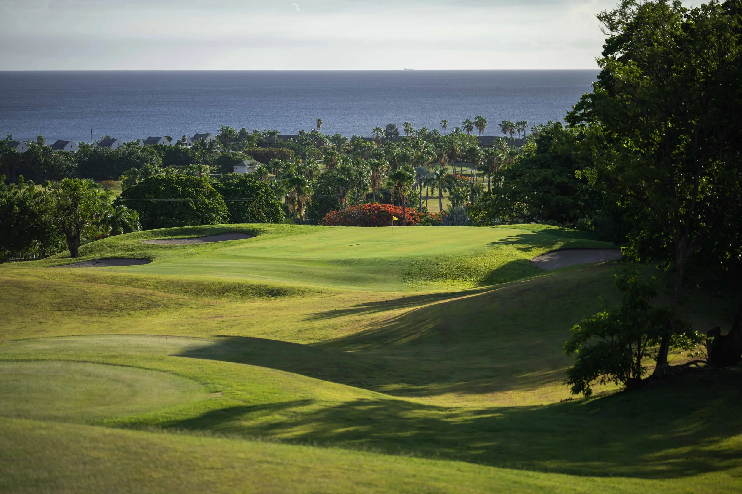 Four Seasons Nevis-3841.jpg
