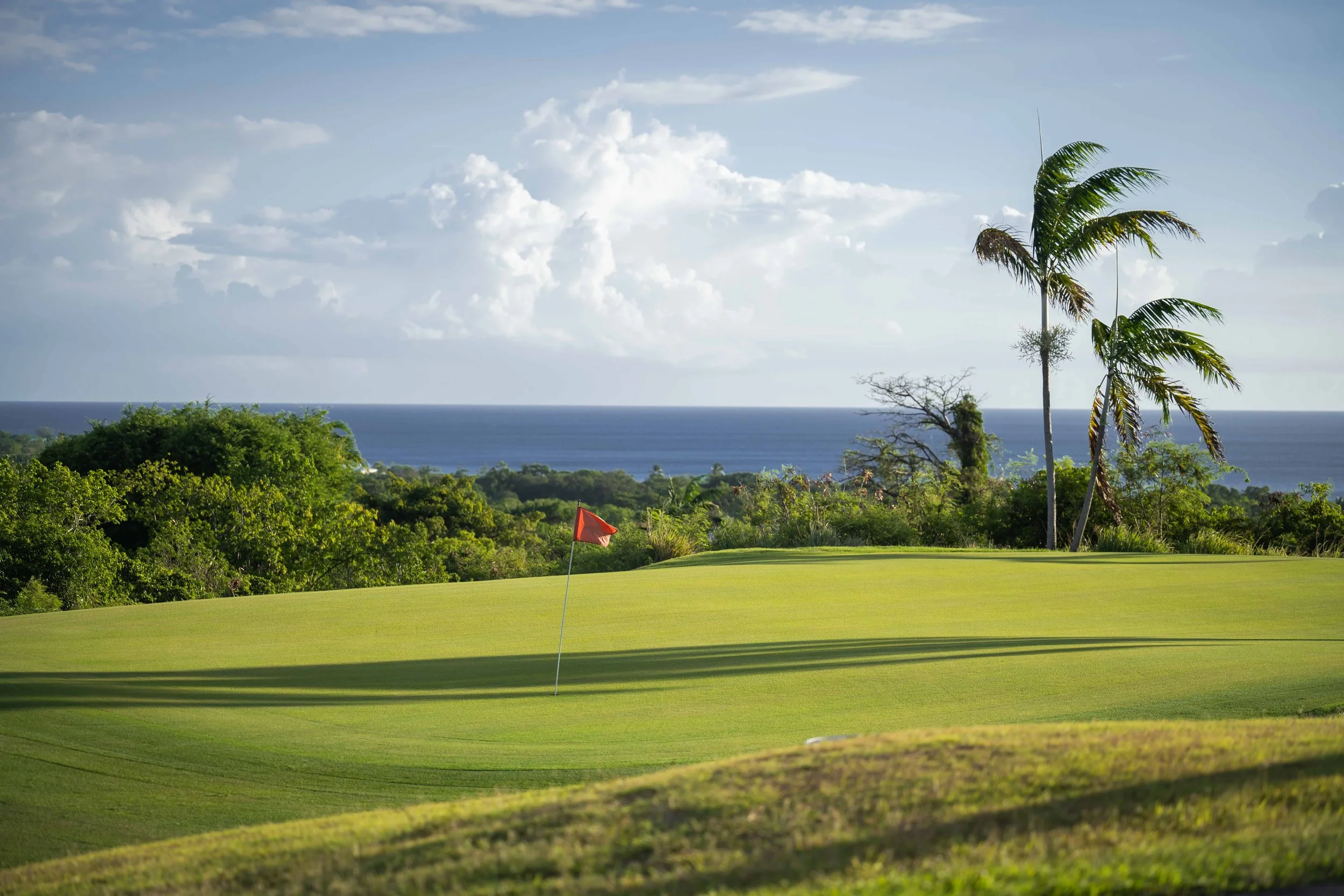 Four Seasons Nevis-3916.jpg