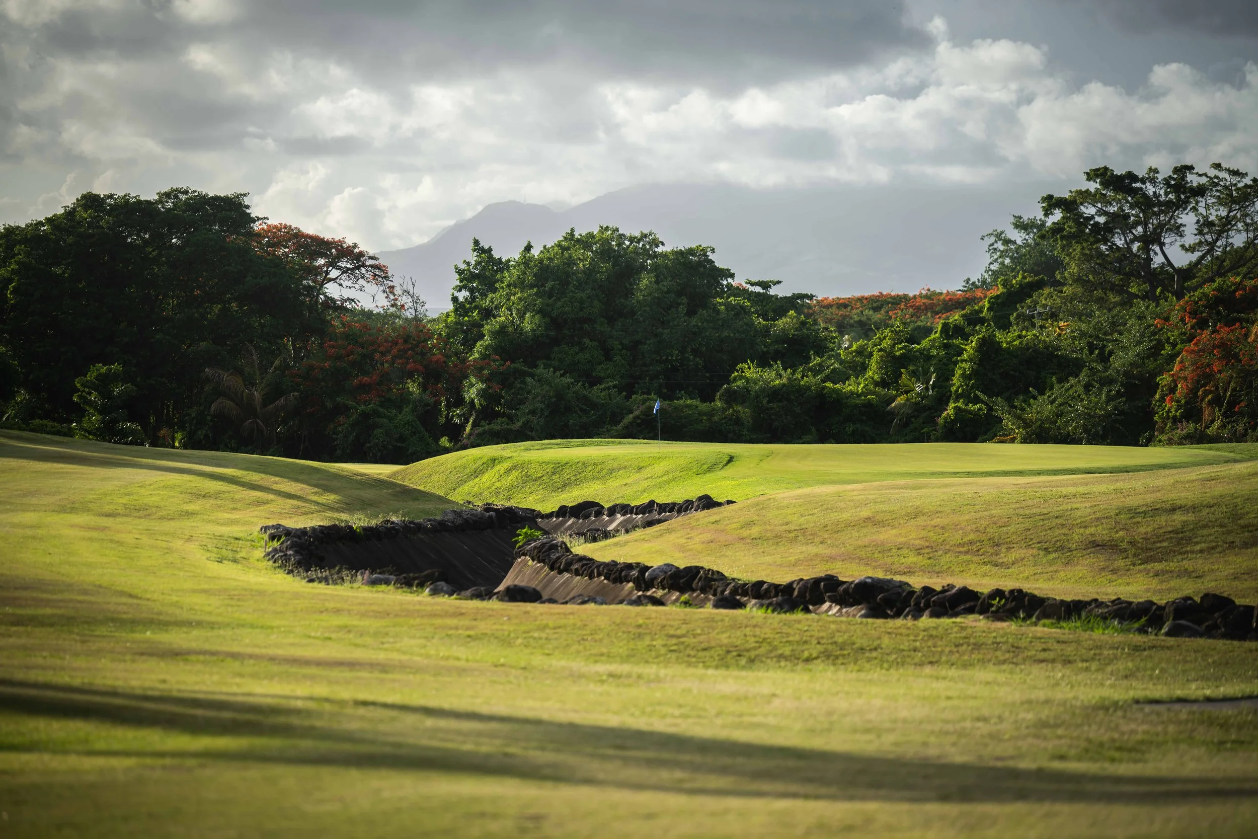 Four Seasons Nevis-4175.jpg