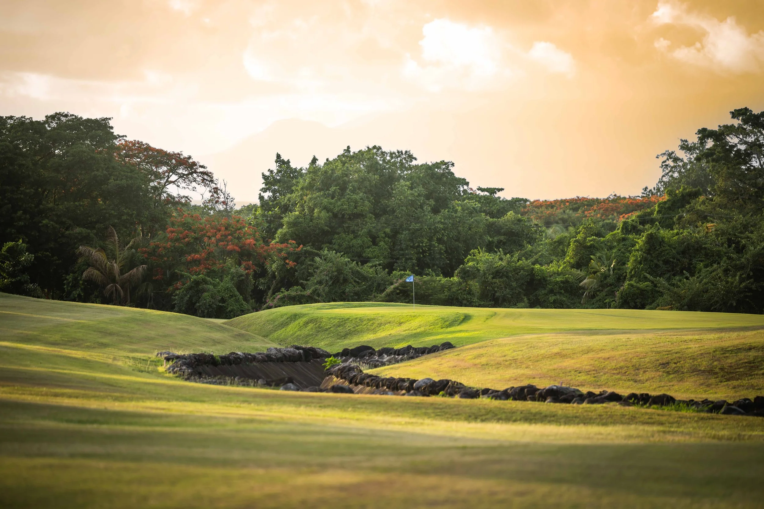 Four Seasons Nevis-4240.jpg