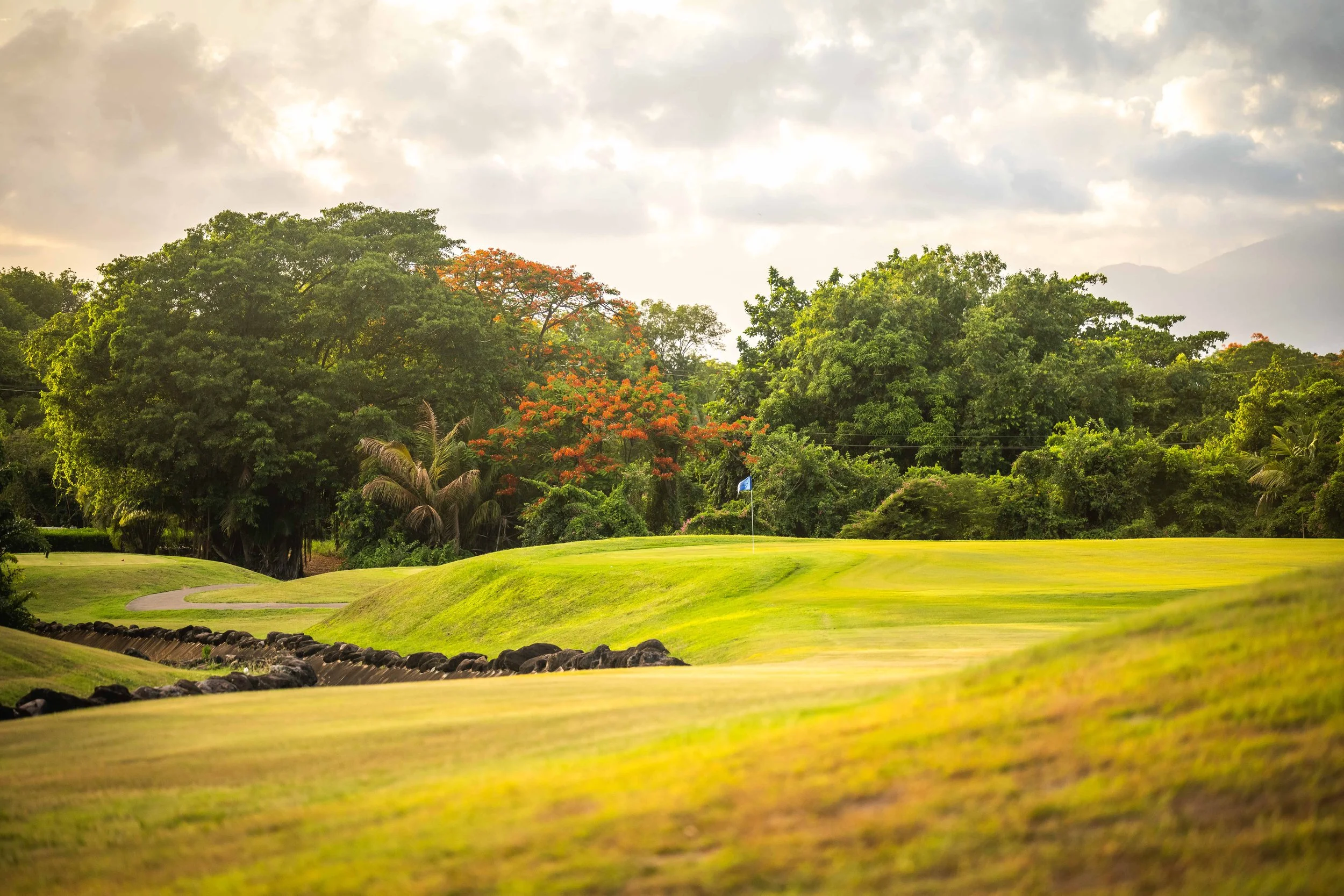 Four Seasons Nevis-4258.jpg