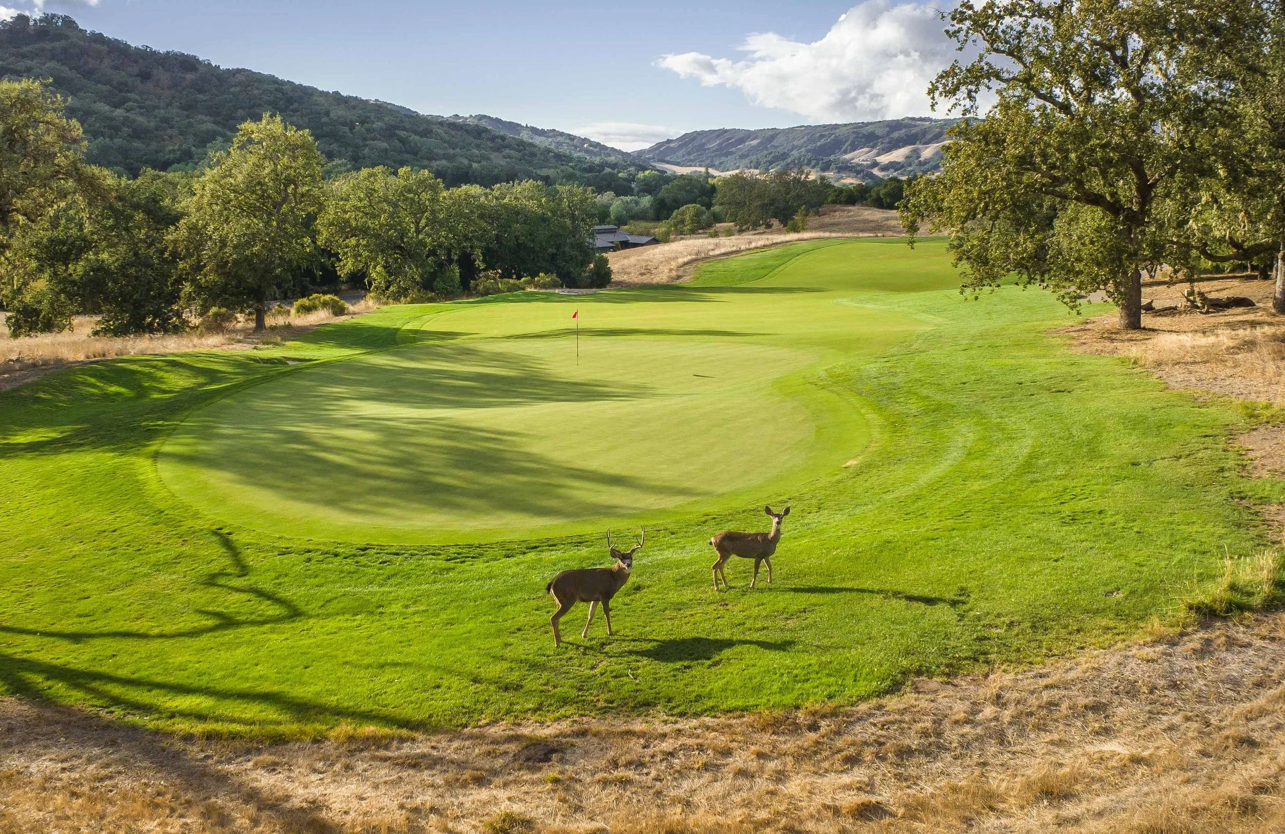 The Preserve Golf Club-0595-2.jpg