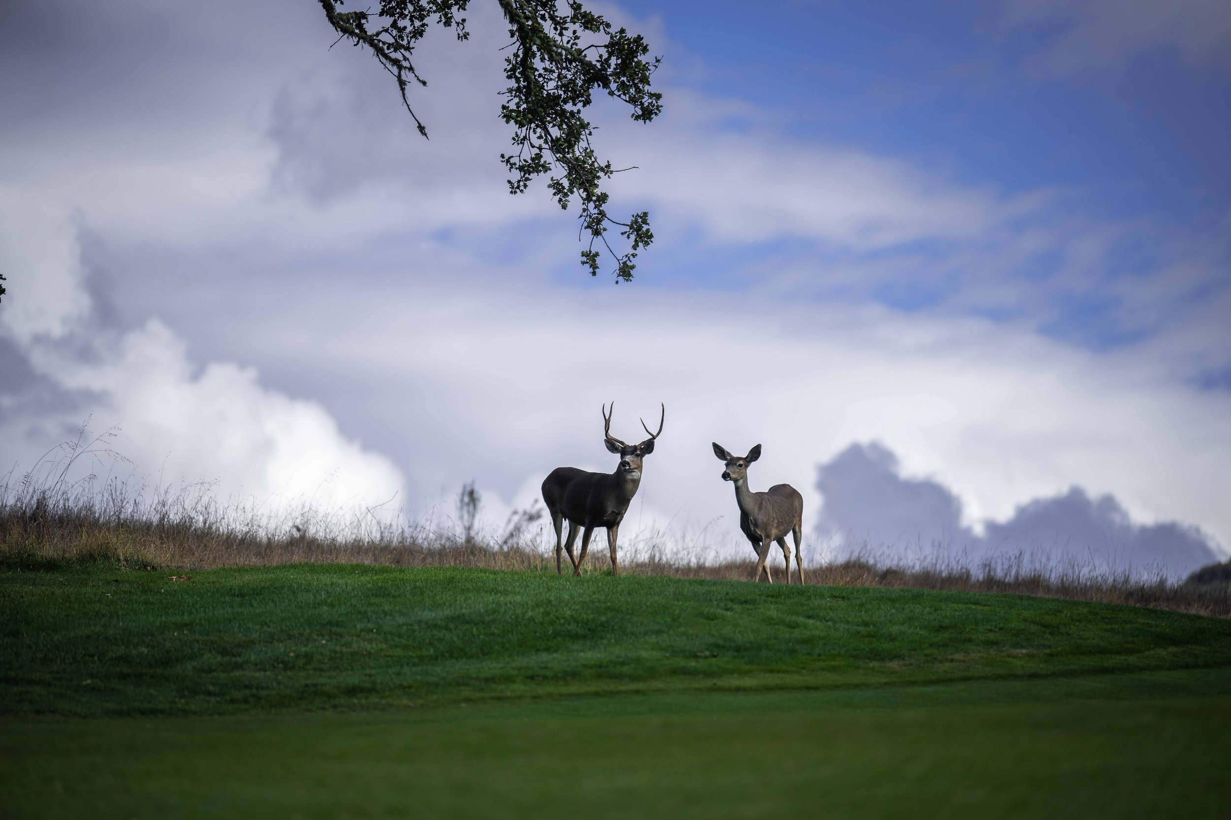 The Preserve Golf Club-4756.jpg