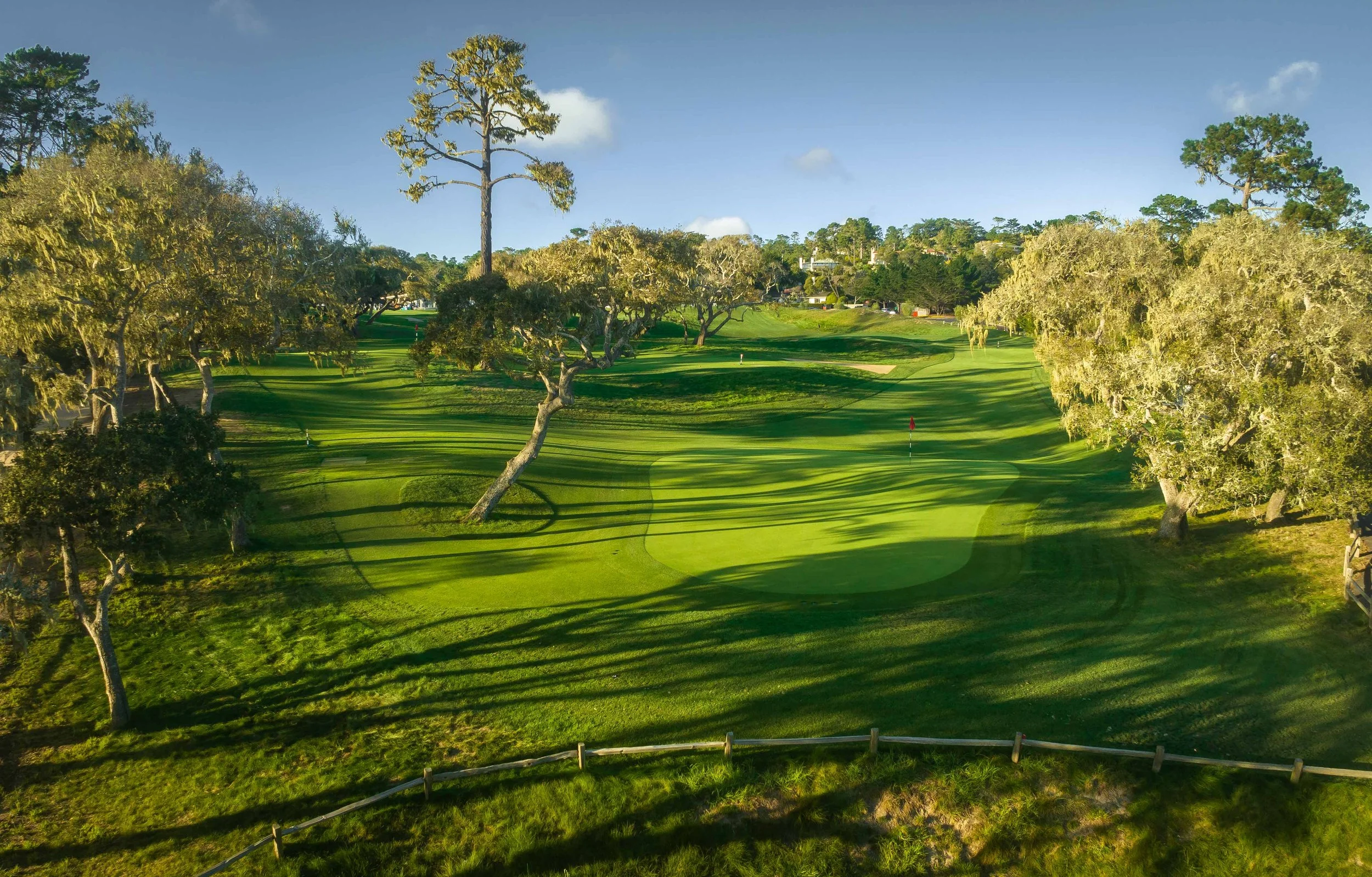 Pure Insurance - 2022-0312.jpg