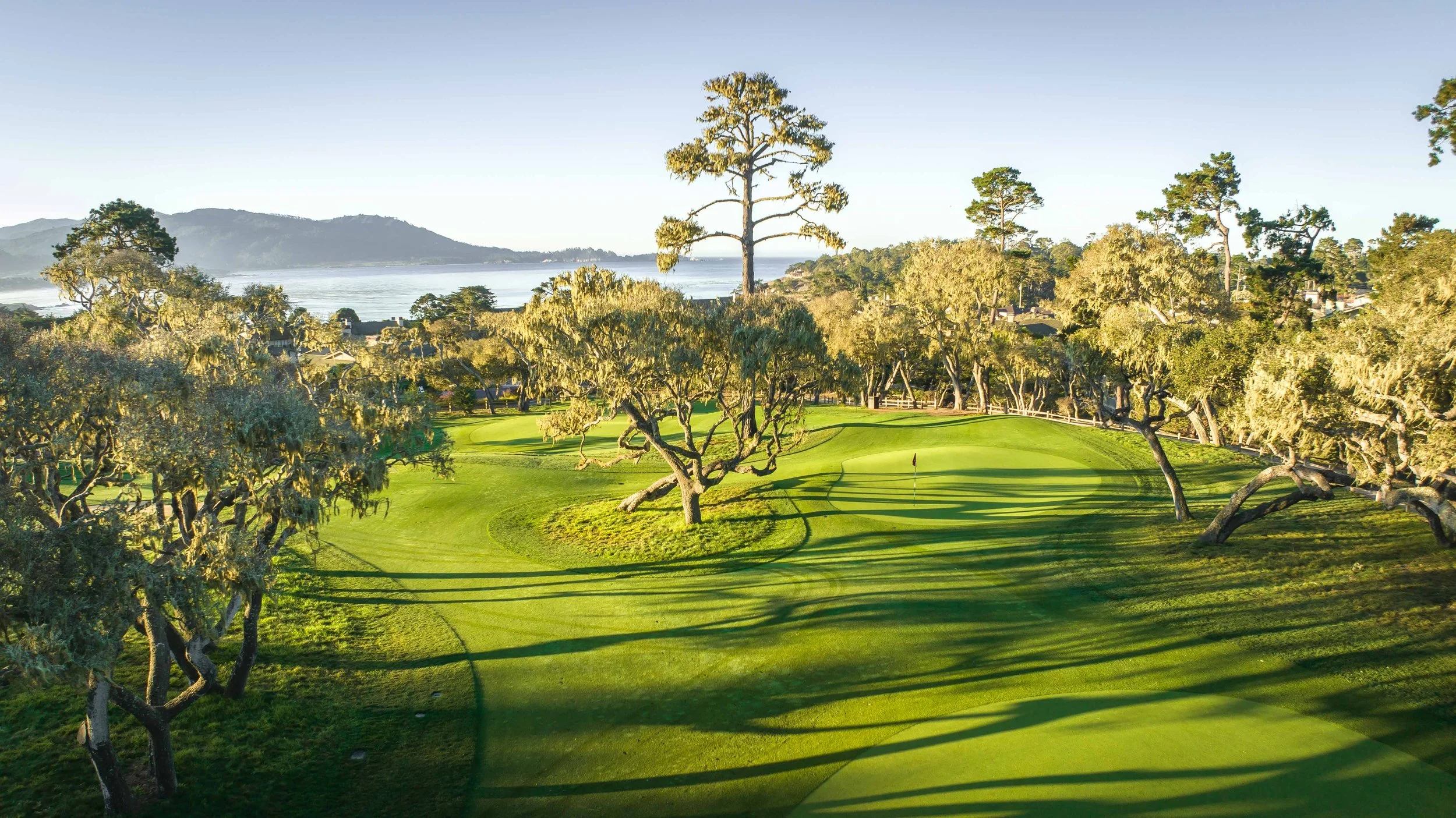 Pure Insurance - 2022-0745.jpg