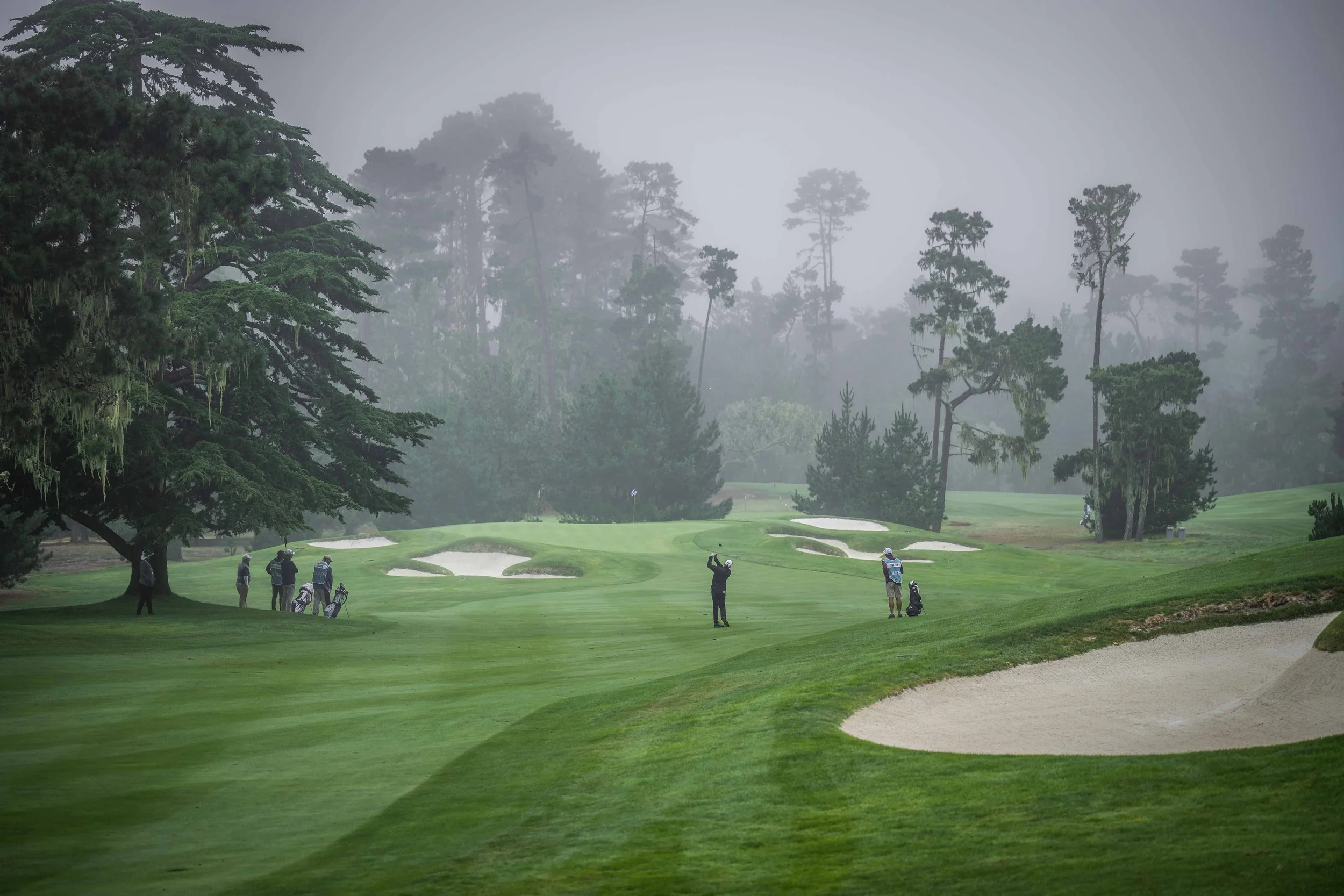 Pure Insurance - 2022-6696.jpg