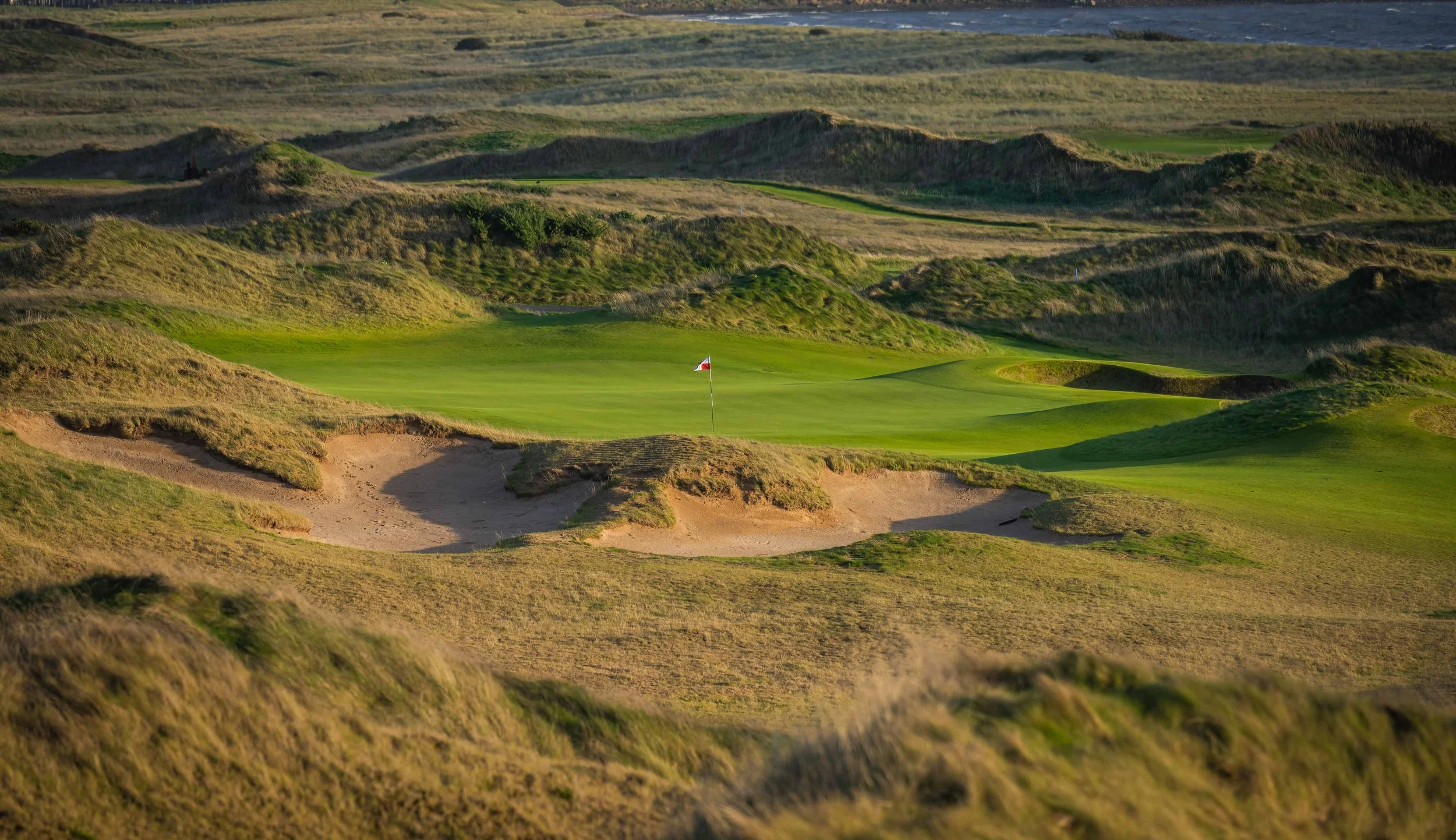 Dumbarnie Links - 2022-8584.jpg