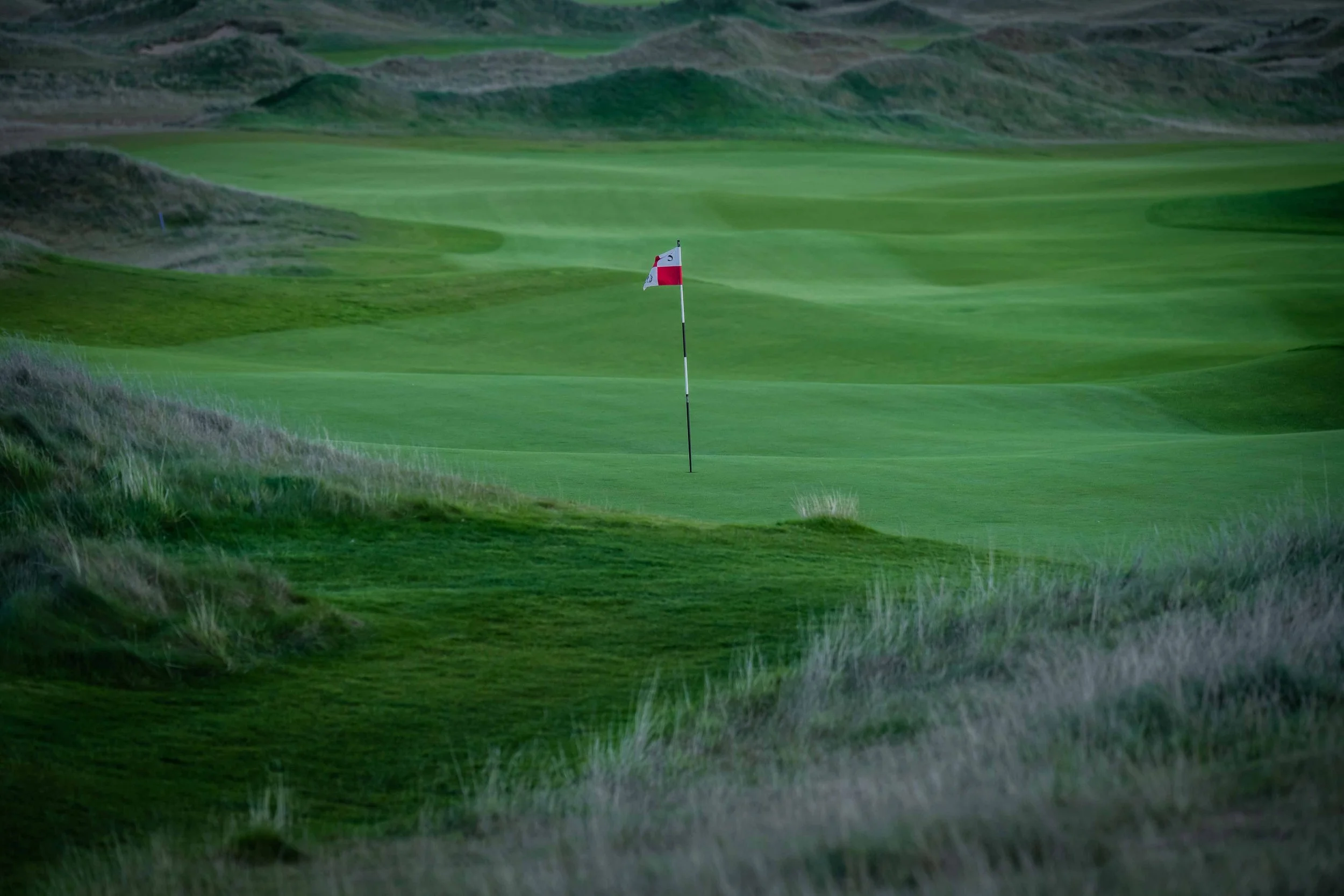 Dumbarnie Links - 2022-8635 2.jpg