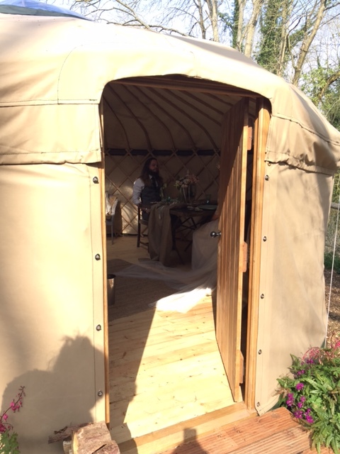 Sneak peek of Jack & Tor inside the Yurt. 