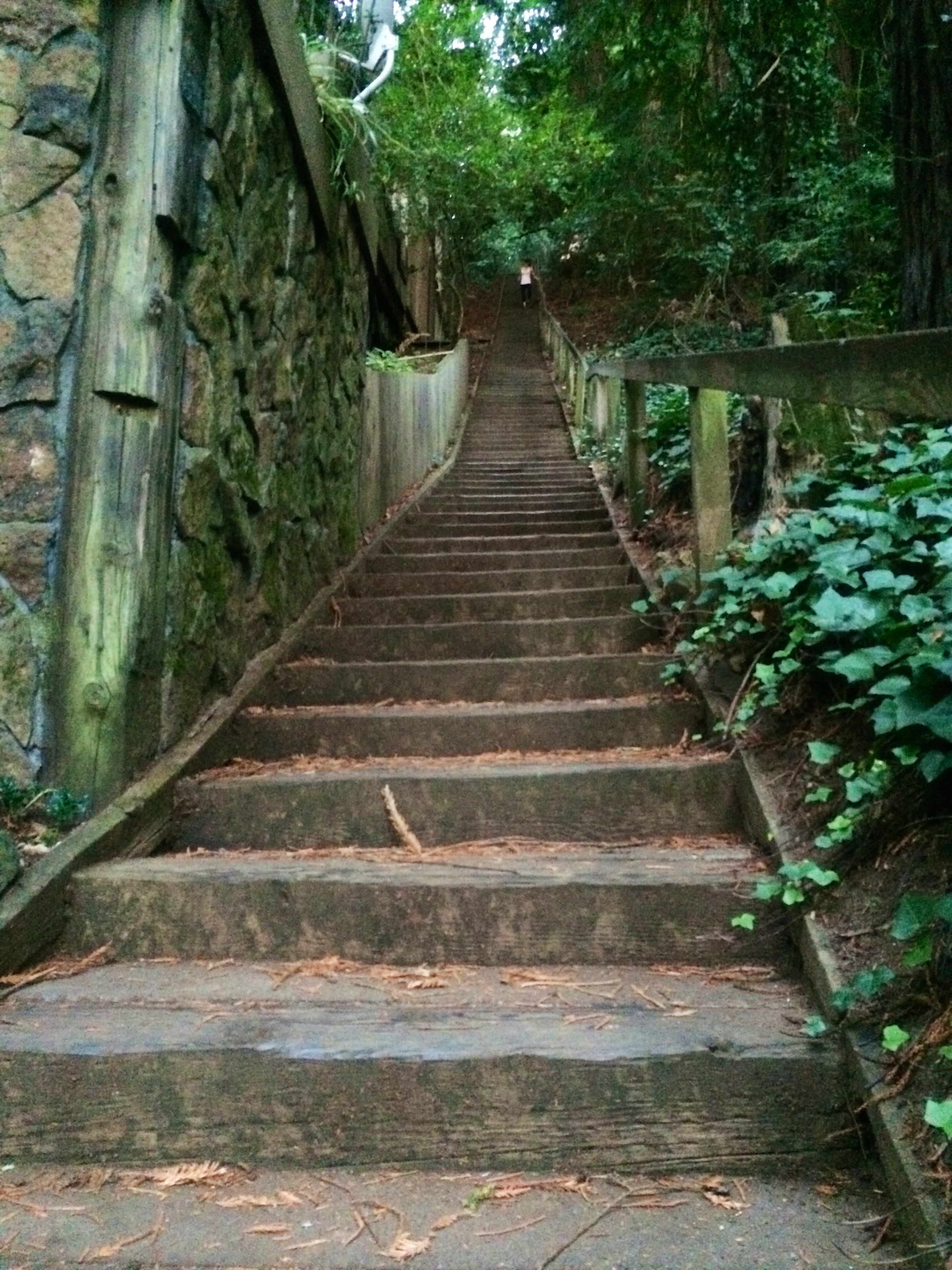 The first of about a million steps on the Dipsea trail