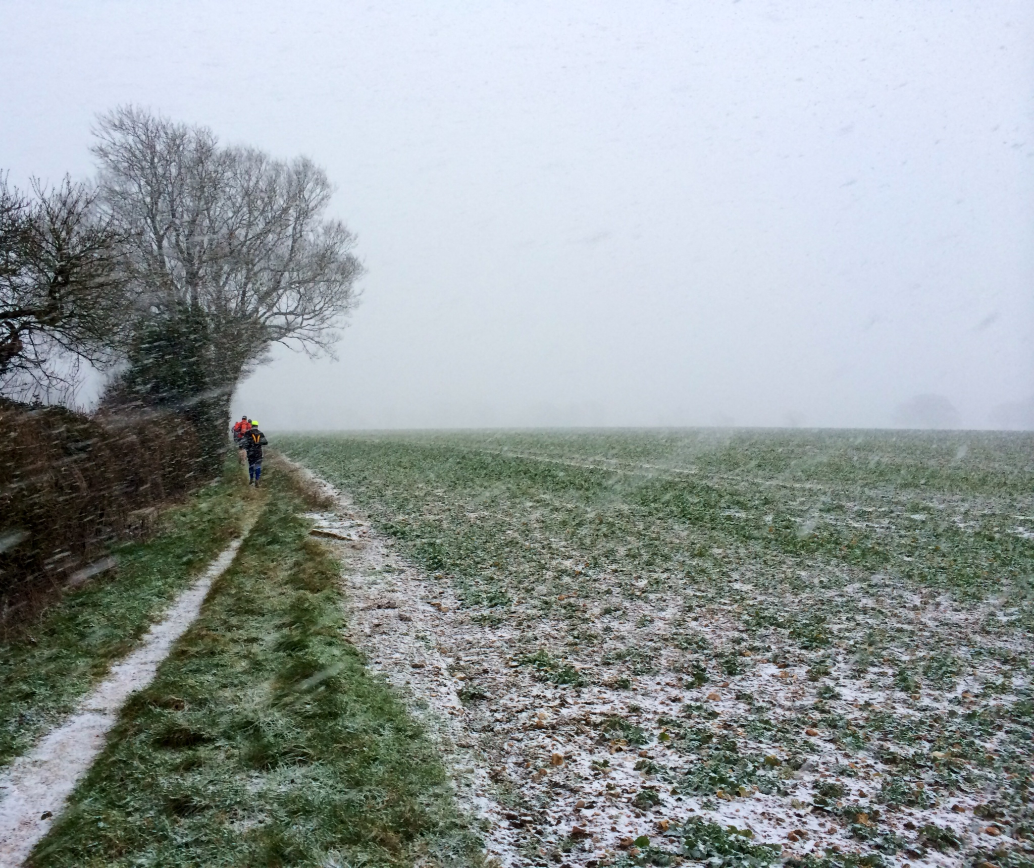 Snowmageddon