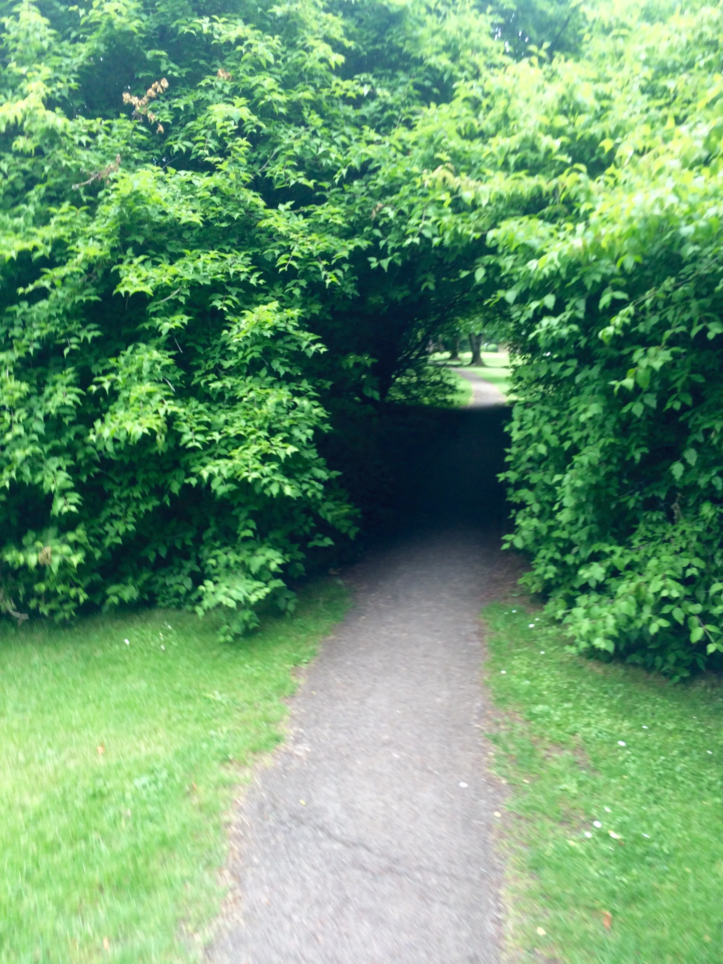 Running through the university grounds