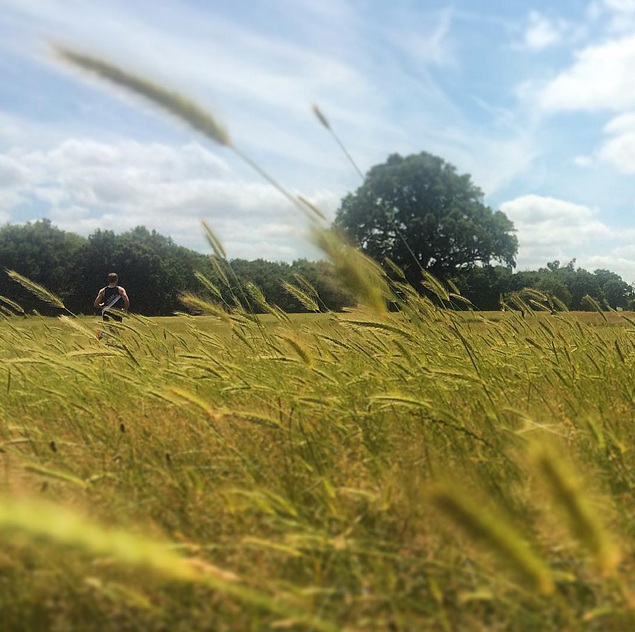Worm's eye view of the Runnymede Relay