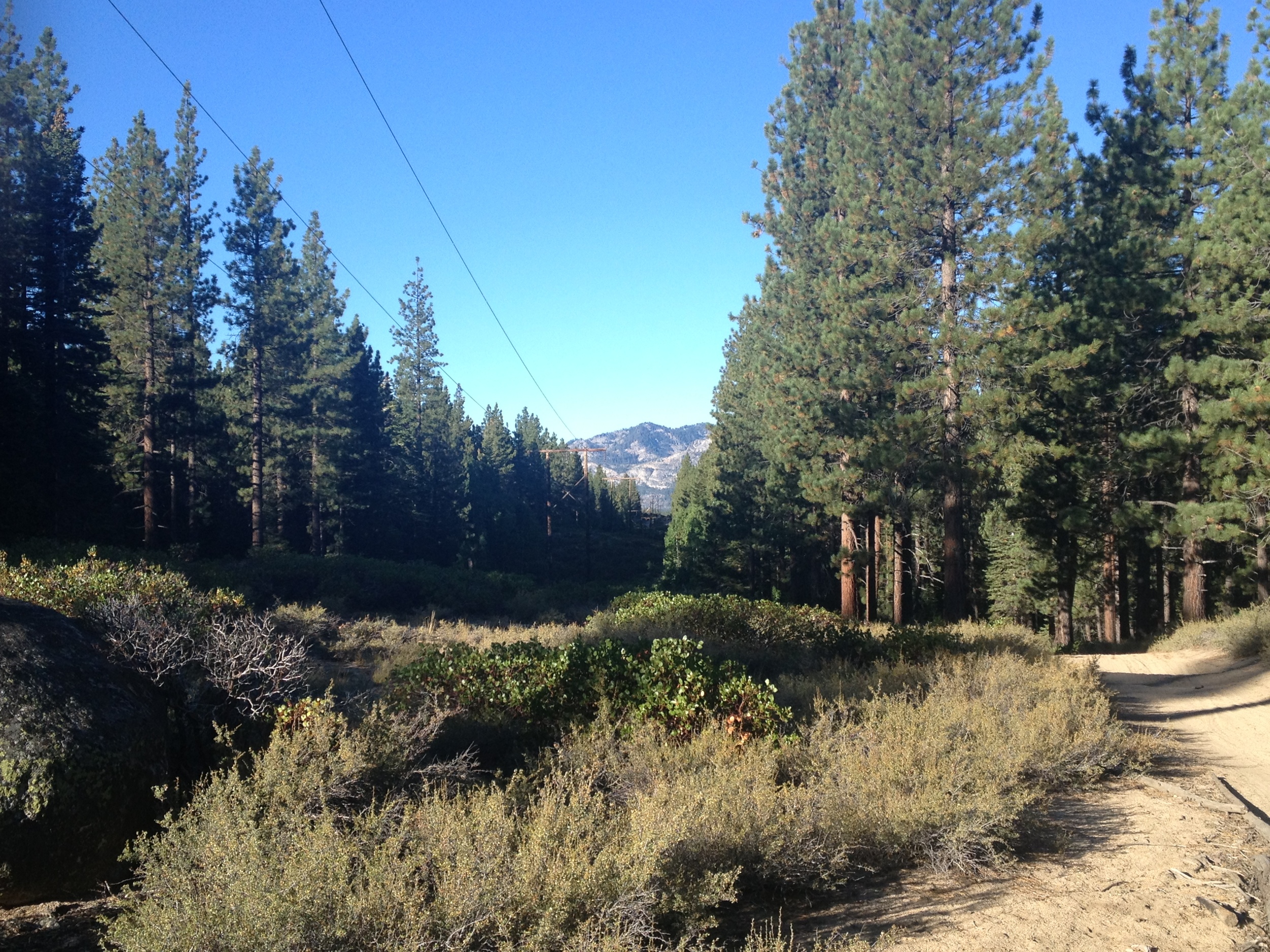 The Powerline Trail, near Lake Tahoe, California