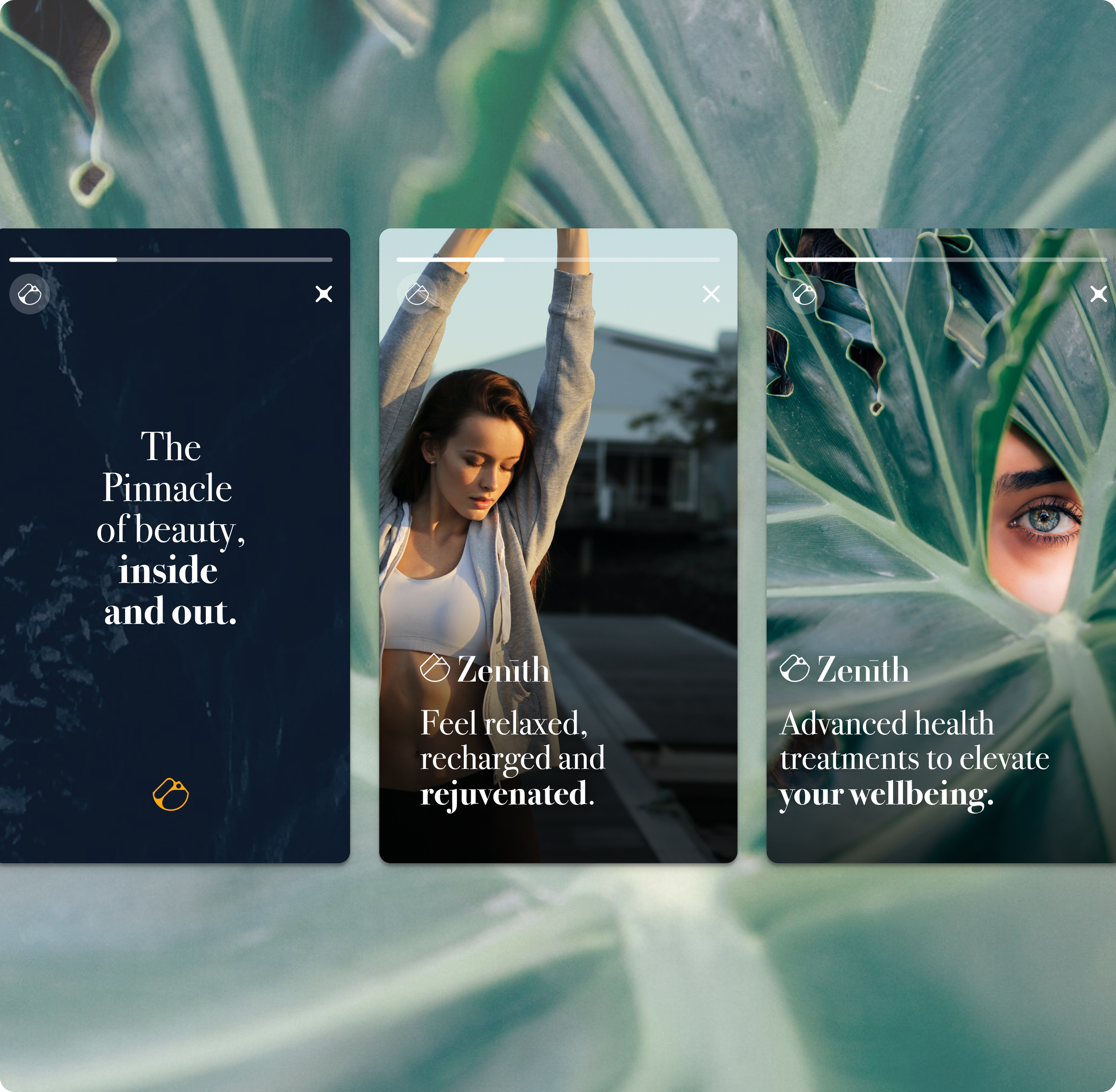 Zenith The Wellness Lounge  |   Branding