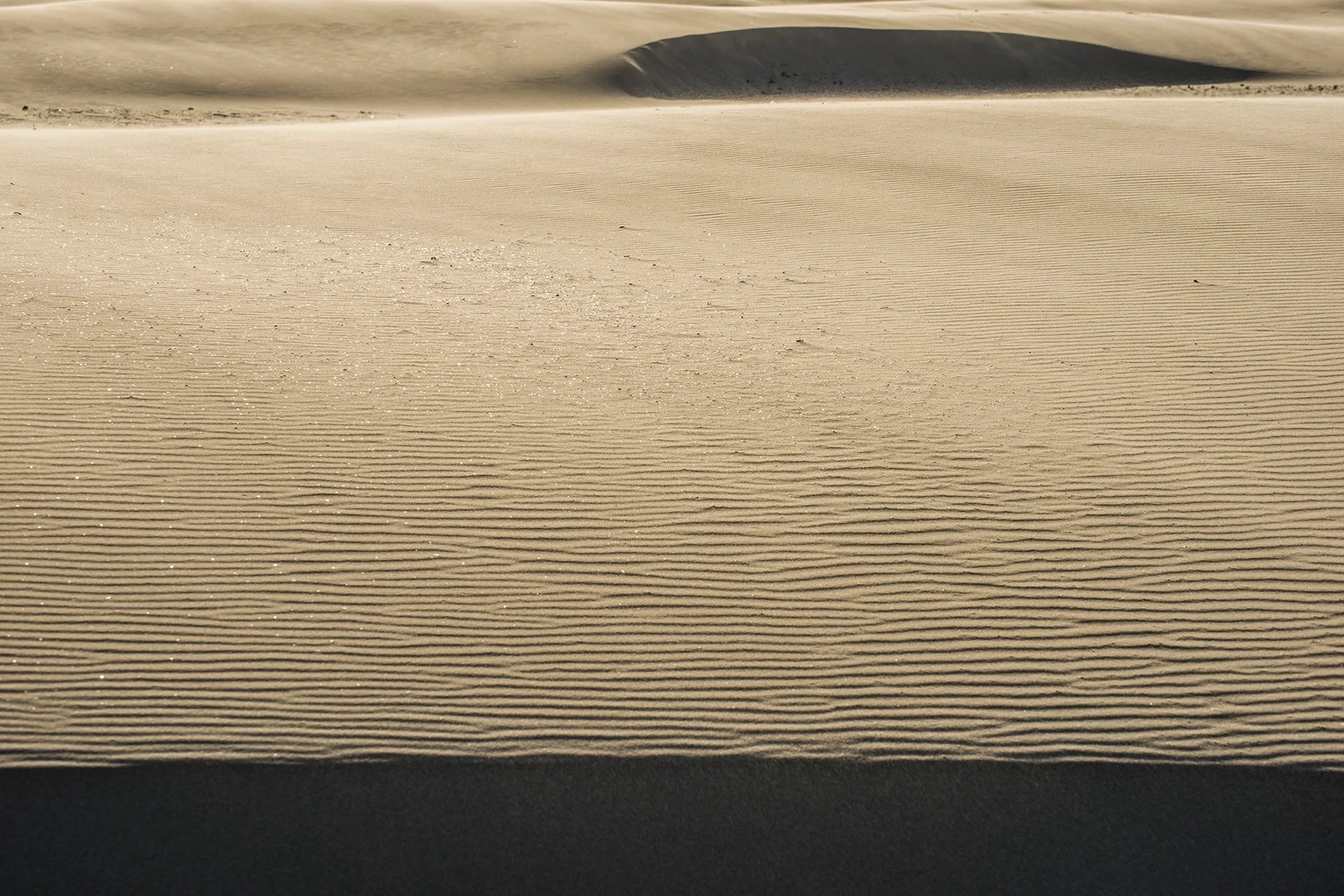 _DSC7887 kopiëren.jpg