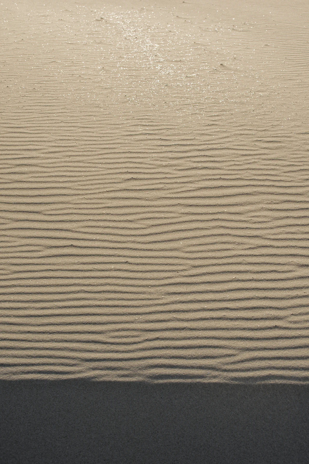 _DSC7889 kopiëren.jpg