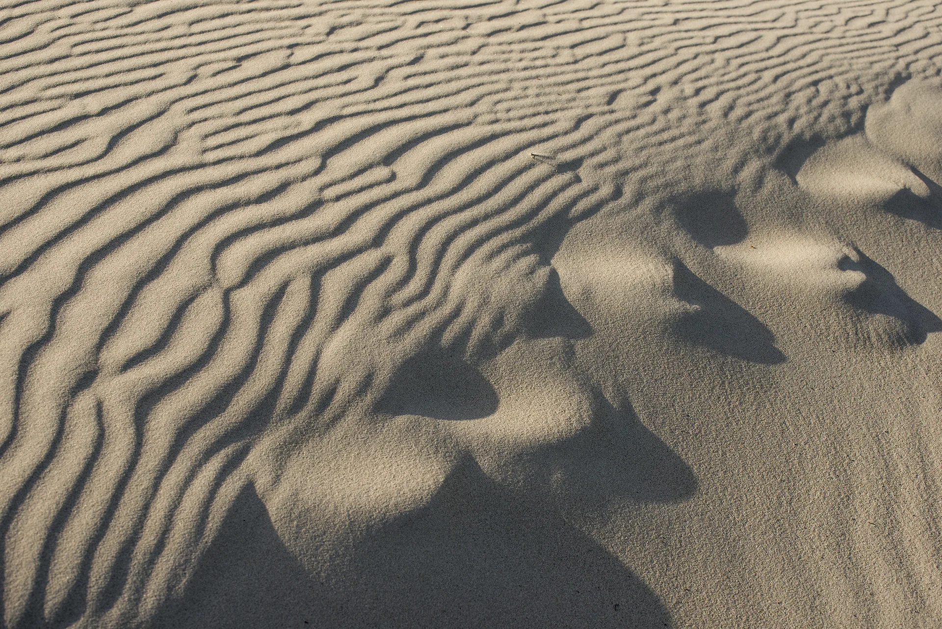 _DSC7903 kopiëren.jpg
