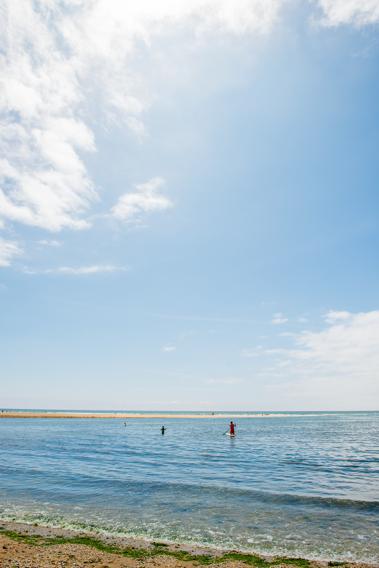 DSC_0956.png