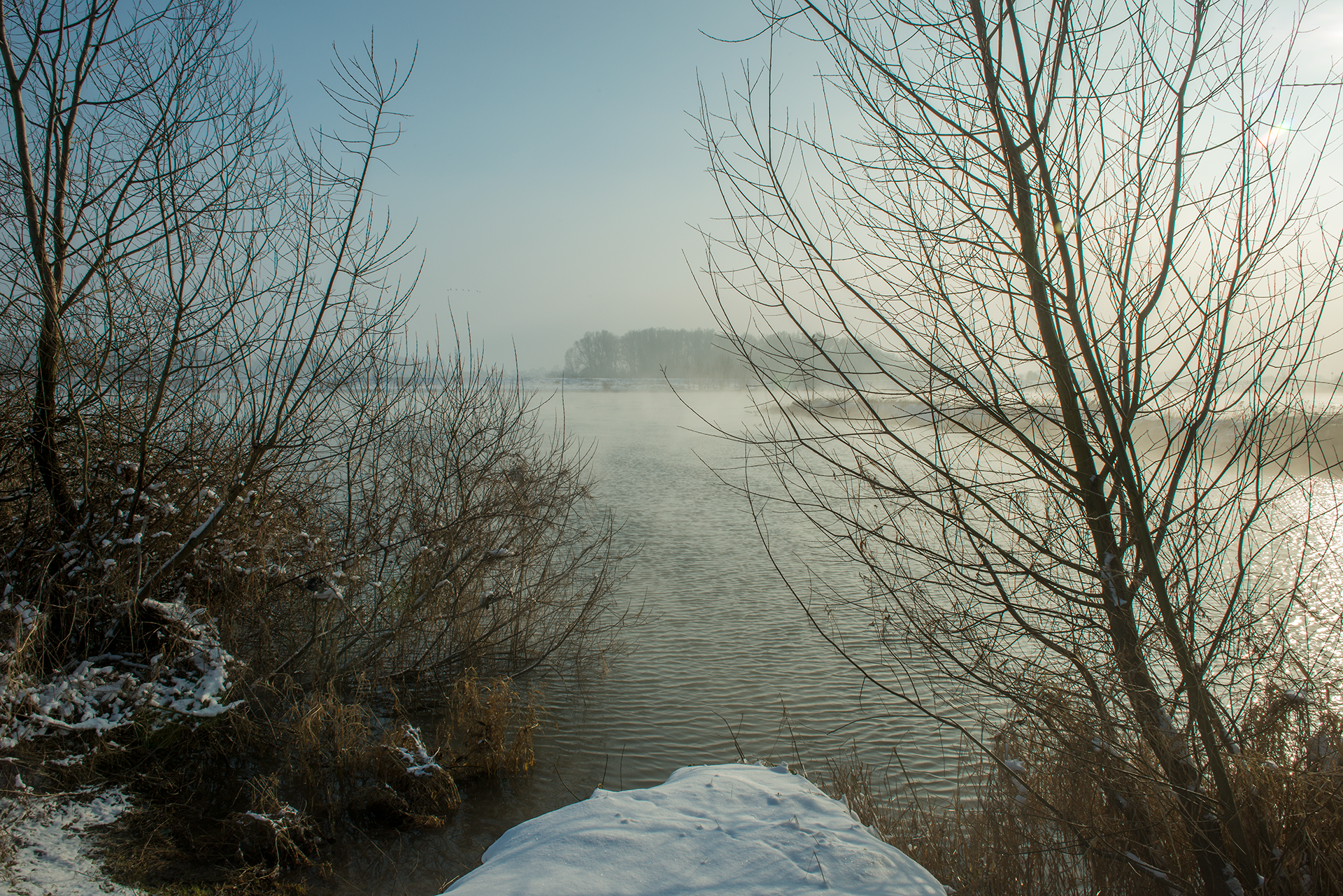 _DSC5190-2.png