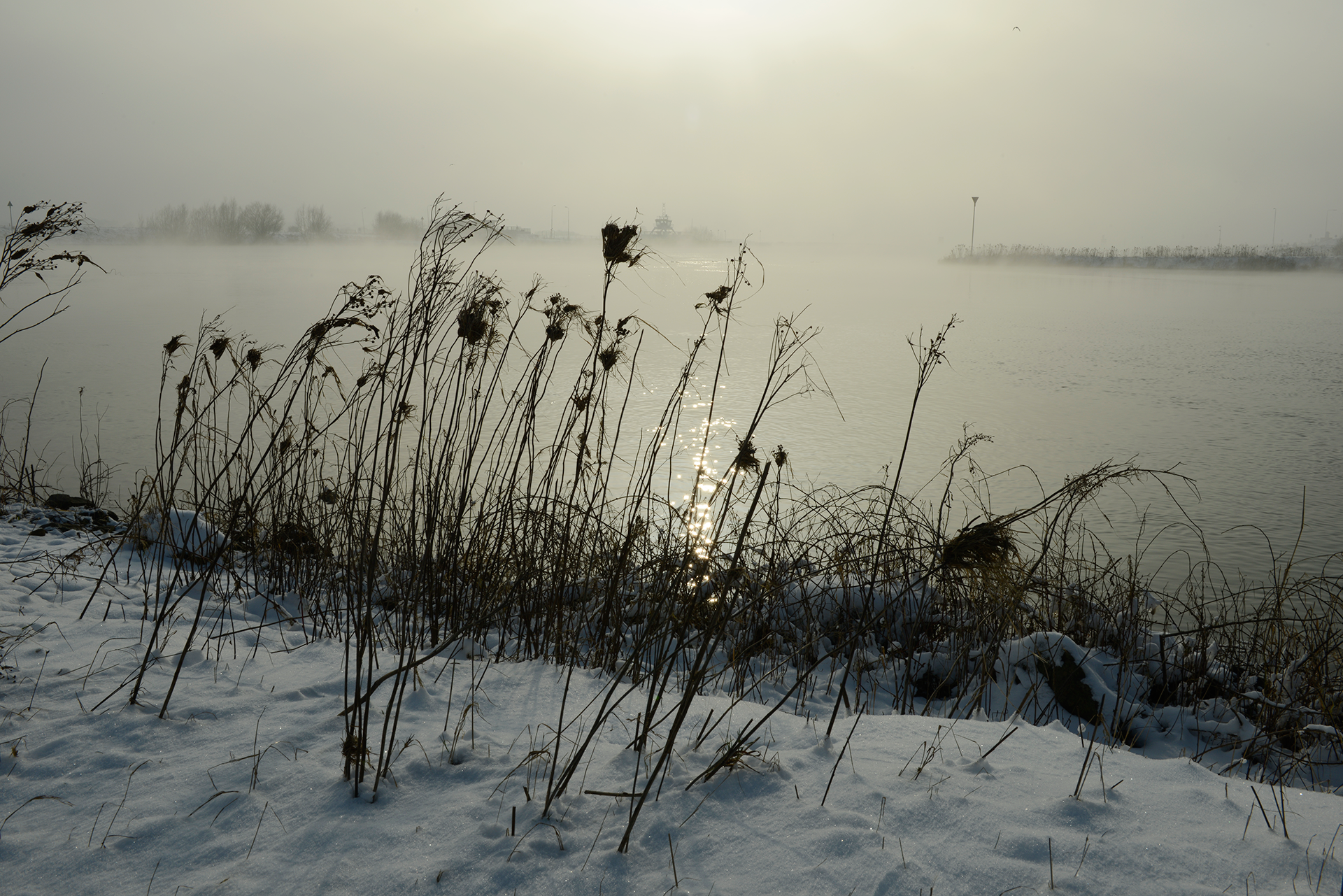 _DSC5257.png