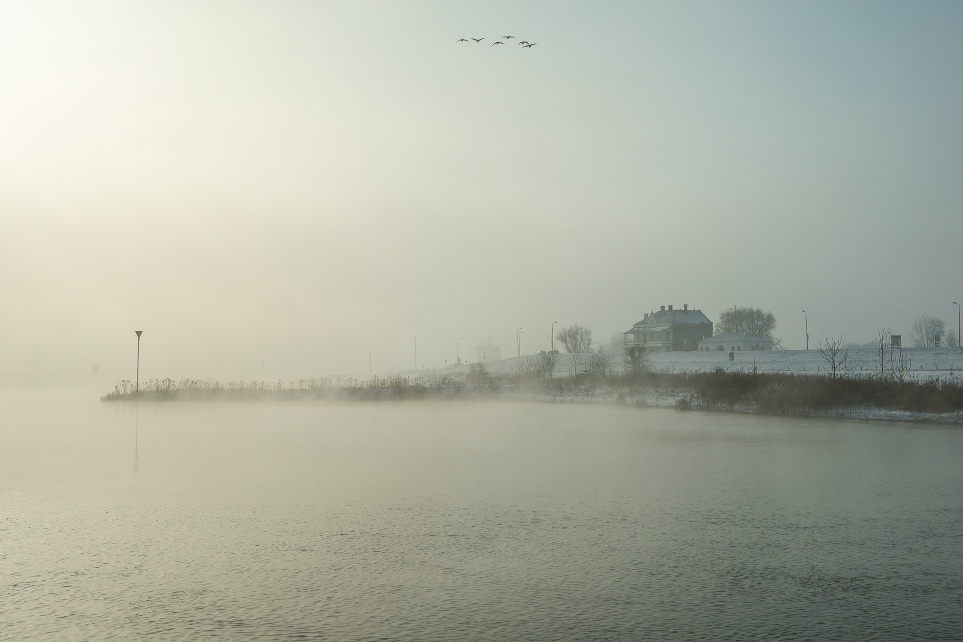 _DSC5265.png
