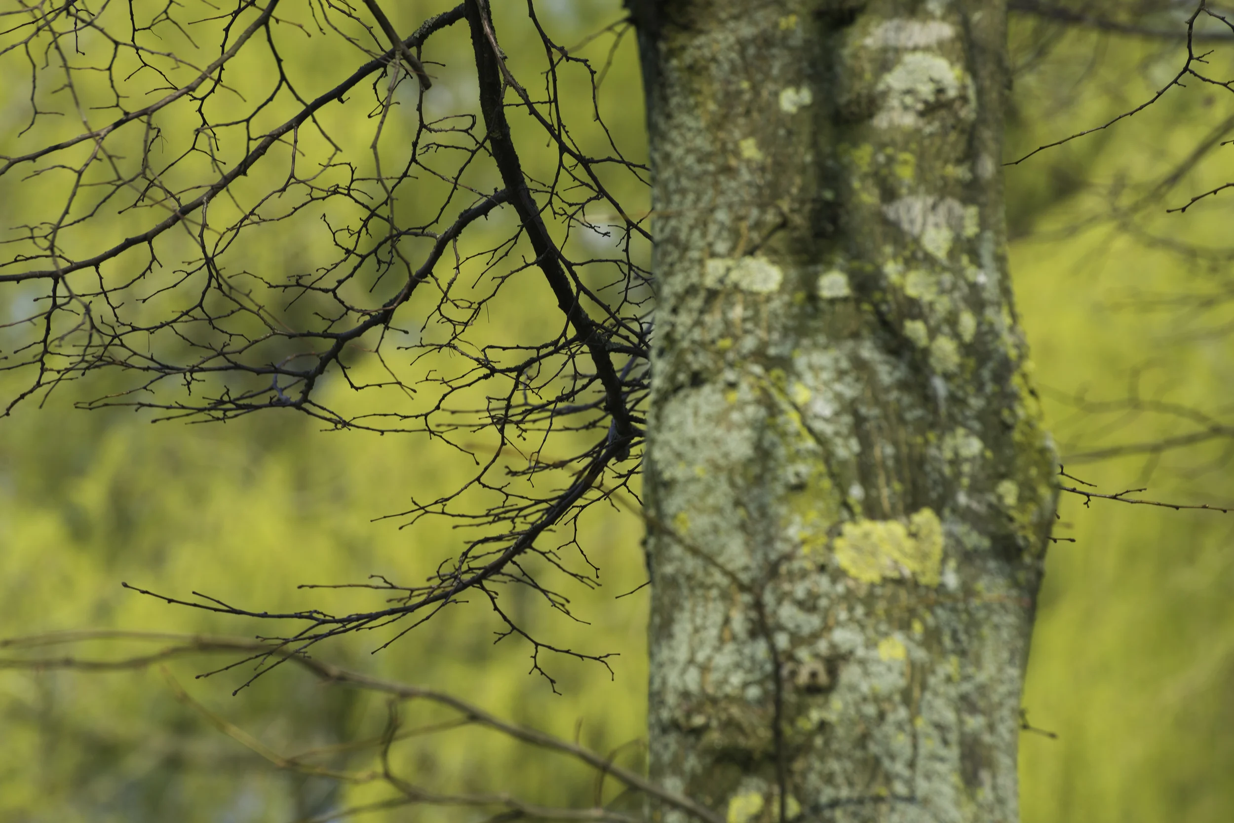 _DSC7932 w.jpg